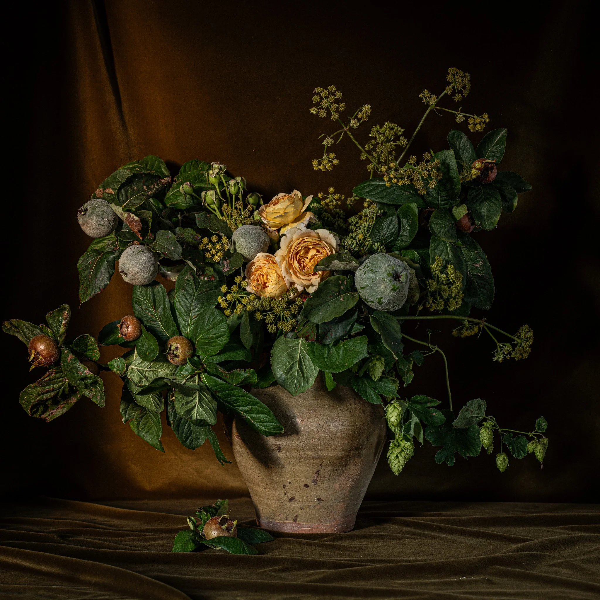 A moody flower arrangement in a large beige ceramic pot featuring roses, lovage, quince, medlar and hops, set against a dark background.