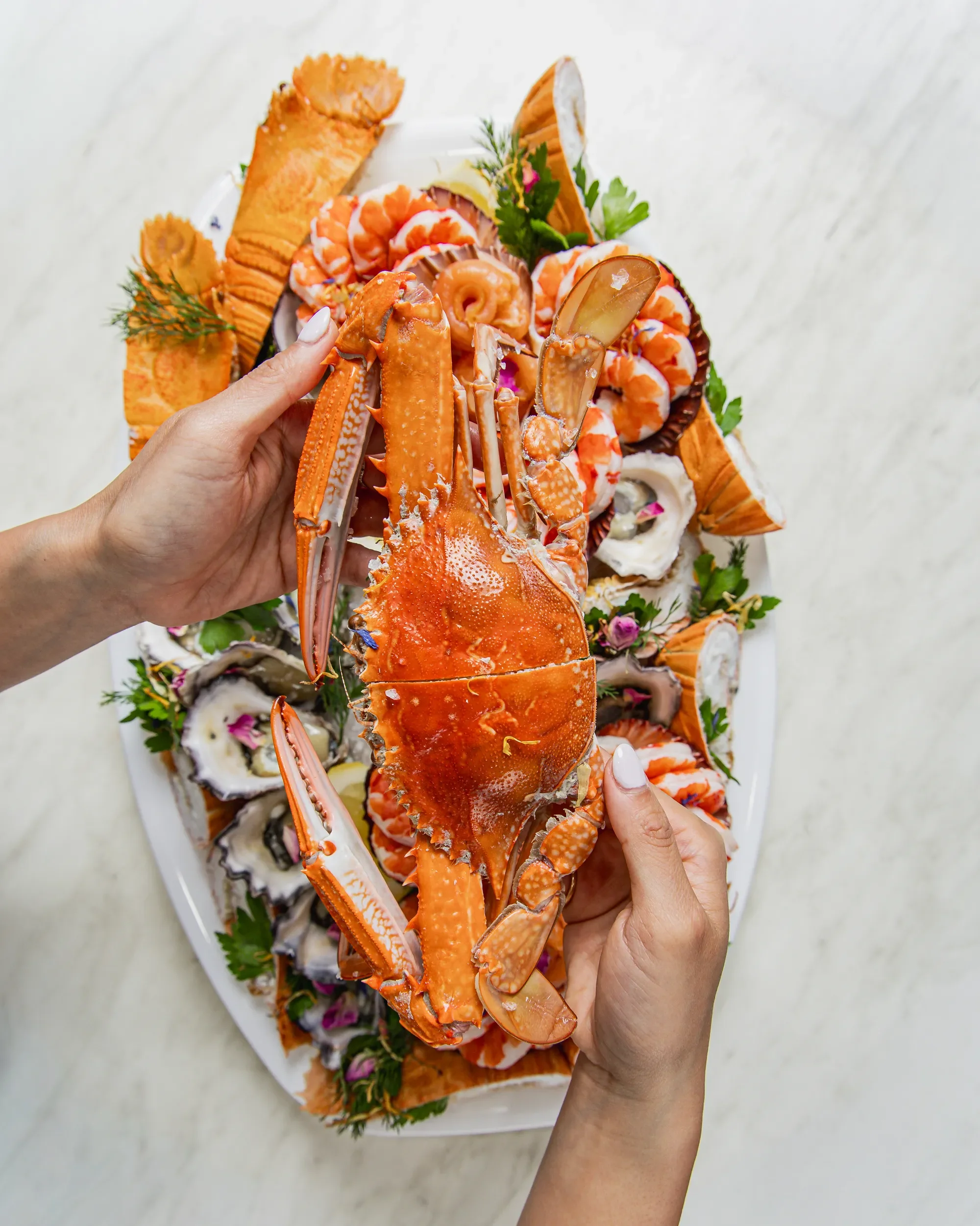 A hand holding a large cooked lobster claw over a seafood platter with other lobster parts, garnished with green herbs and pink flowers on a white surface.