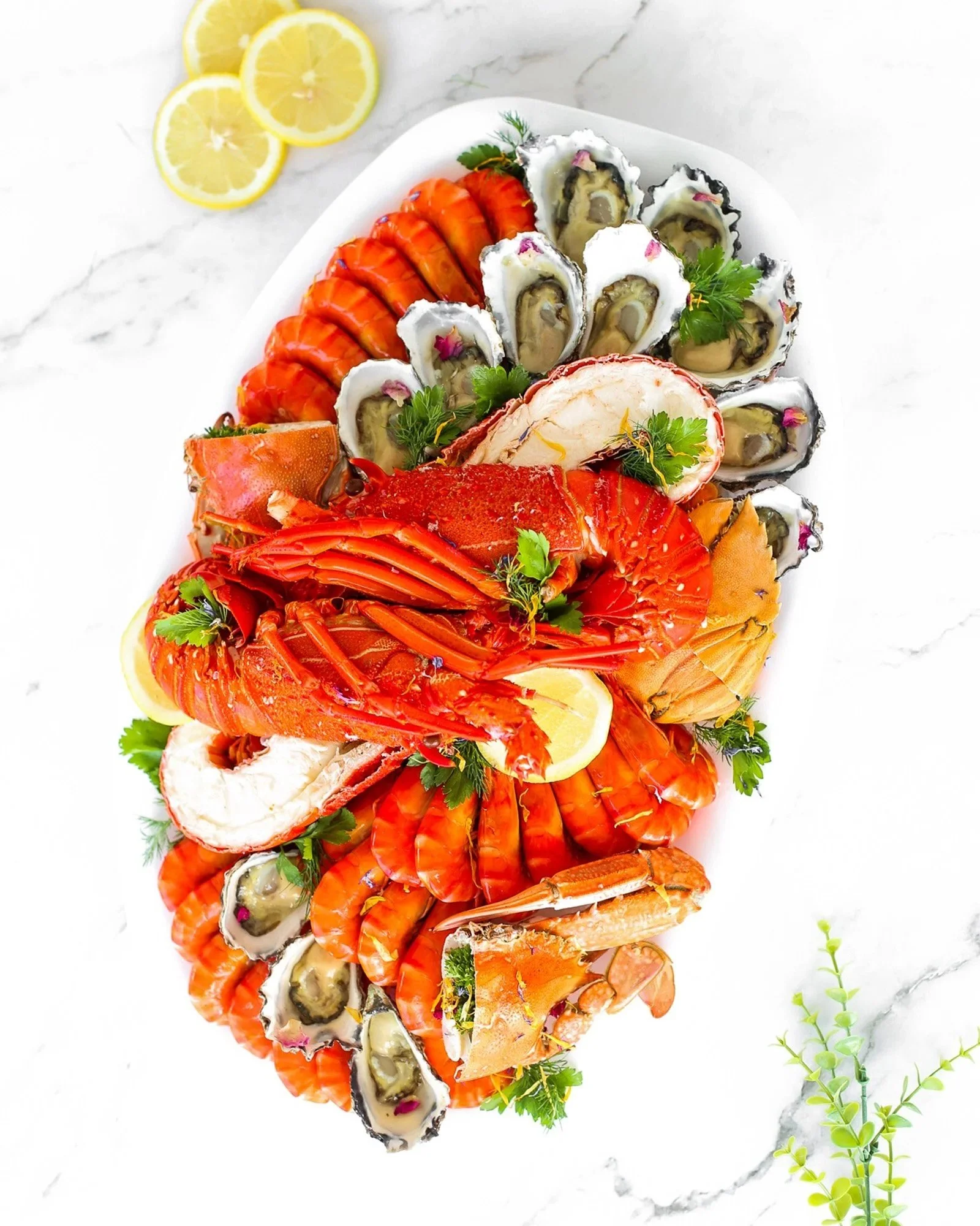 A seafood platter with oysters, lobster, shrimp, and lemon slices, garnished with parsley, arranged on a white oval plate on a marble surface.