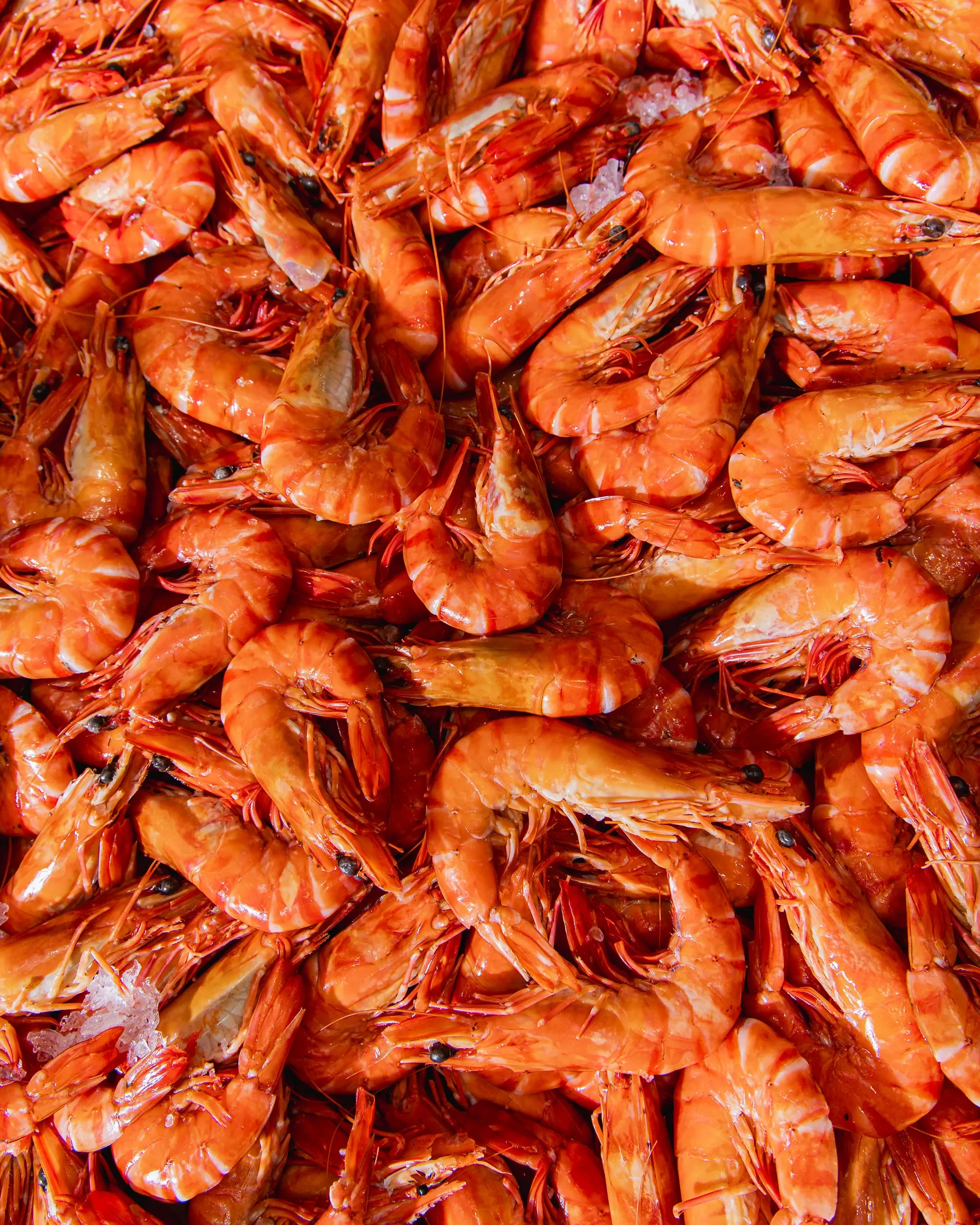 Pile of cooked shrimp with orange shells and black eyes.