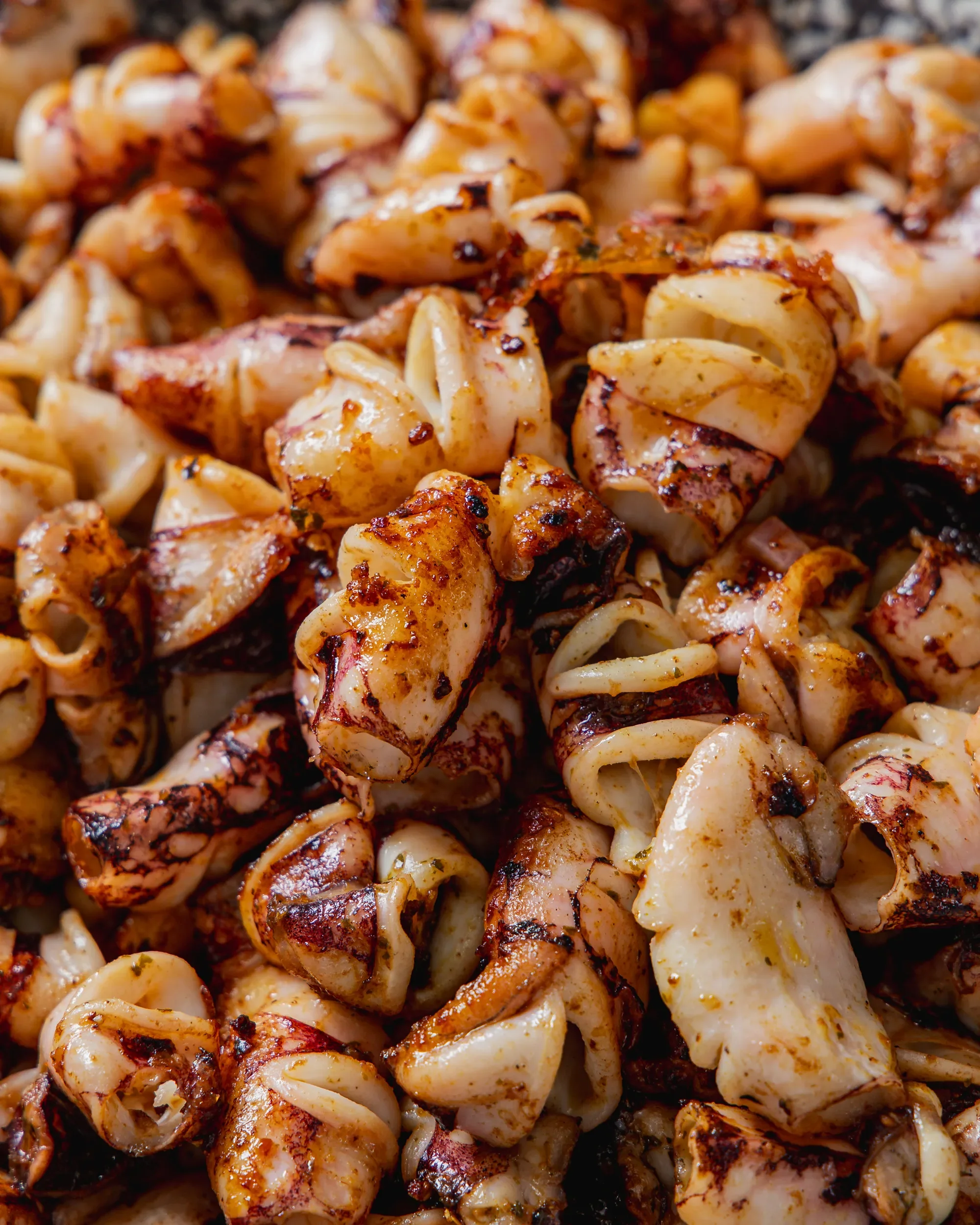 Close-up of grilled octopus with a charred exterior and white, tender flesh.