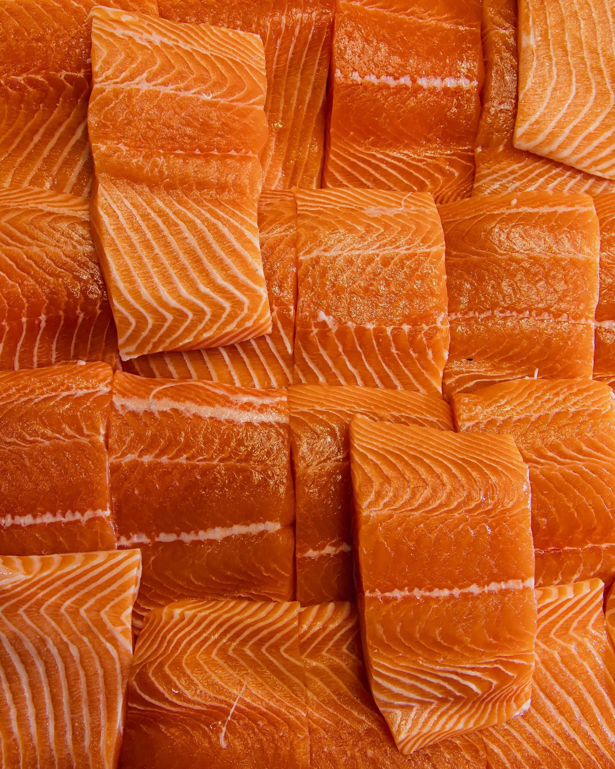 Several pieces of raw salmon fillet with orange and pink flesh, lined with white fat. The pieces are cut into rectangles and show the marbling and texture of the fish.