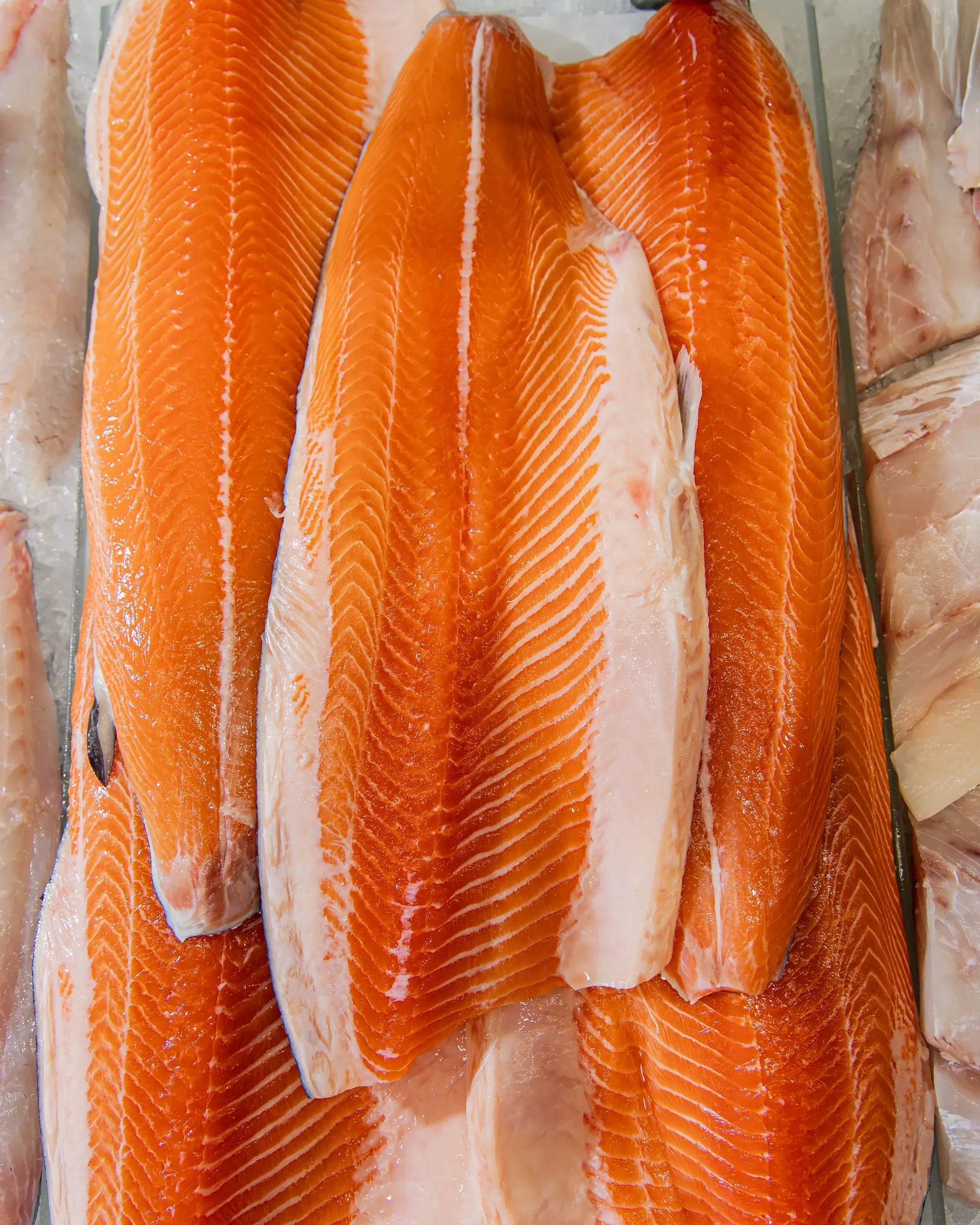 Fresh salmon fillets with bright orange flesh and white marbling, displayed on a refrigerated surface.