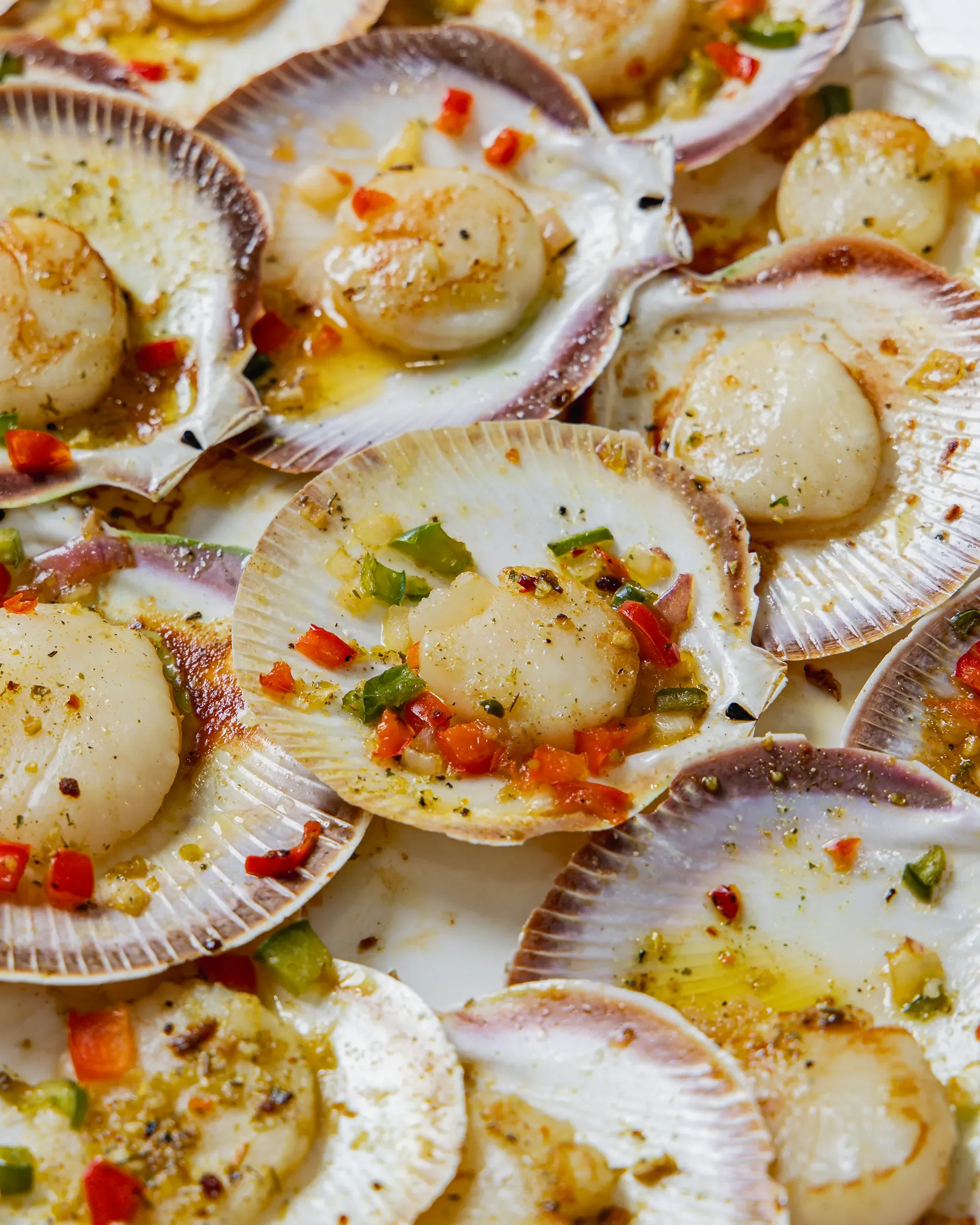Close-up view of cooked scallops served in their shells, garnished with chopped red and green bell peppers and herbs.