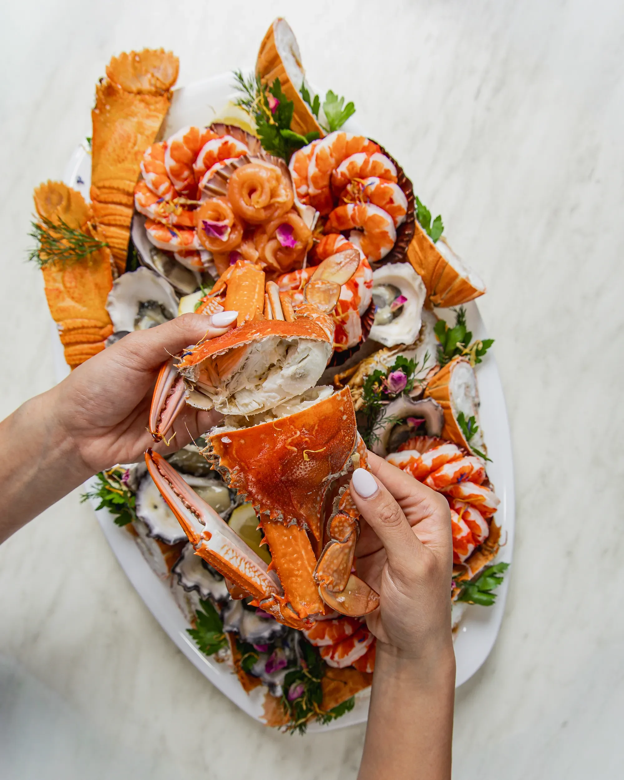 Person holding a lobster tail over a seafood platter with shrimp, scallops, and garnishes.