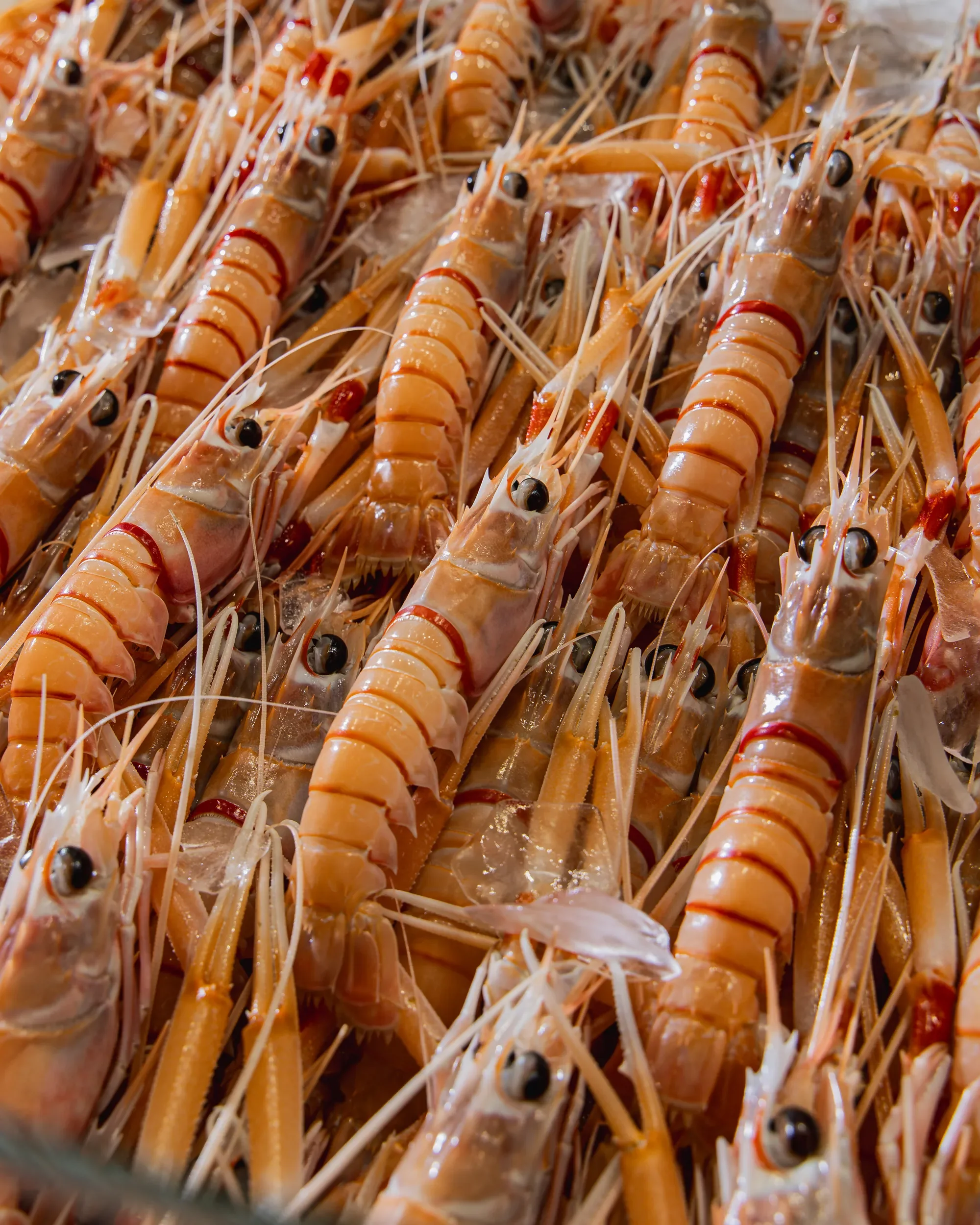 Close-up of raw, peeled shrimp with black eyes, arranged in a pile.