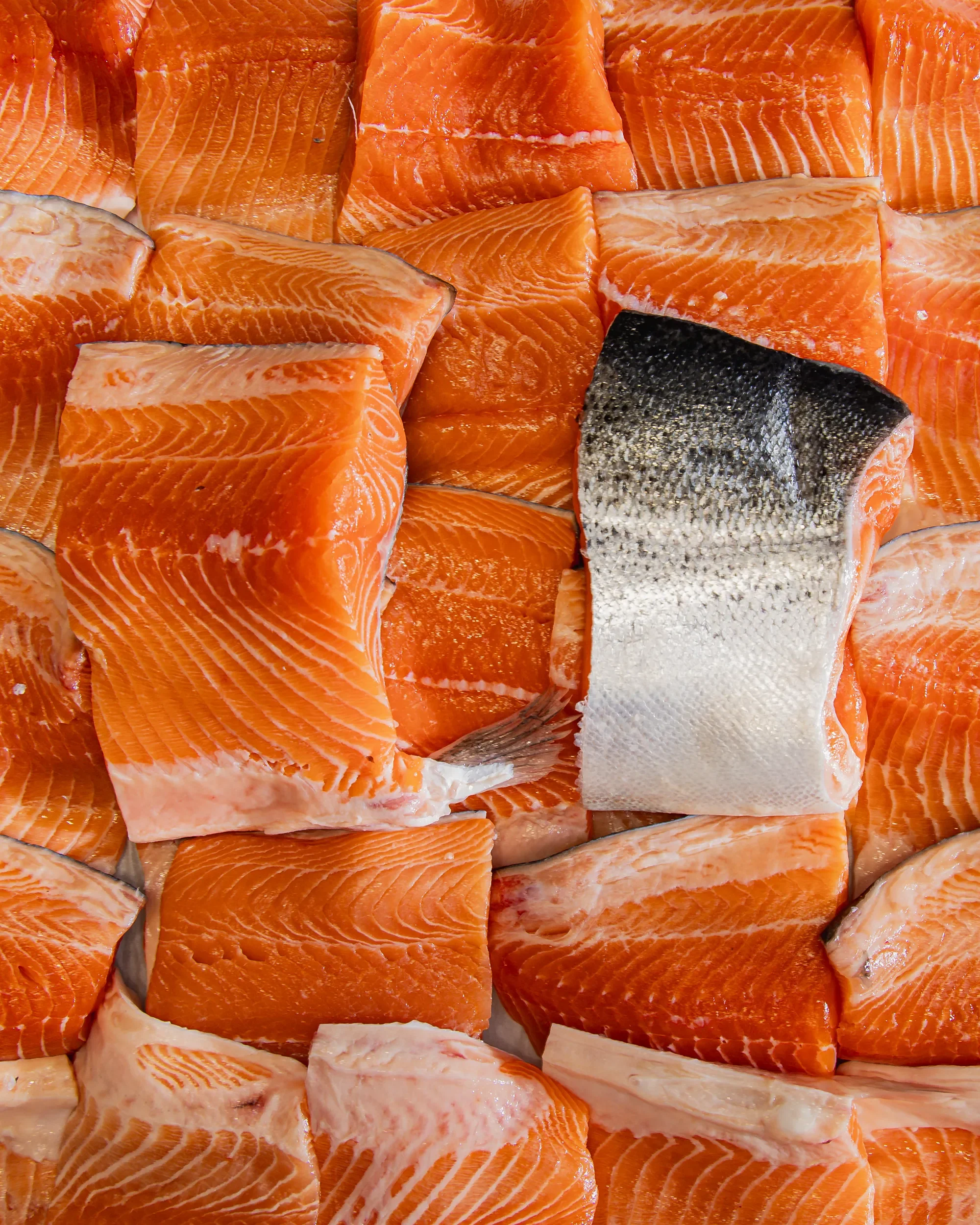Fresh pieces of raw salmon fish with orange flesh and white marbling, some with the skin on, arranged closely. 
