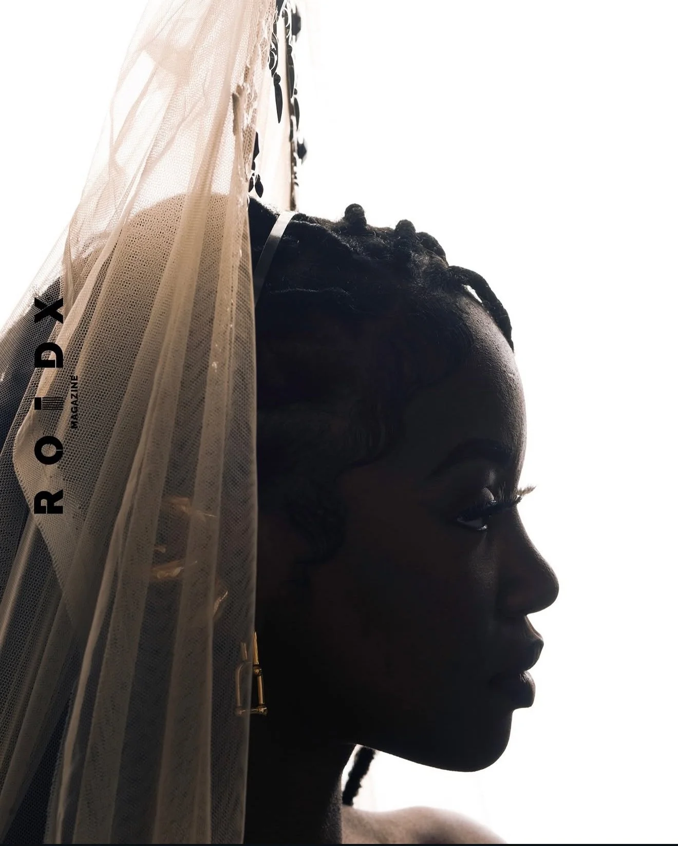 An image of ROIDX MAGAZINE July 2024