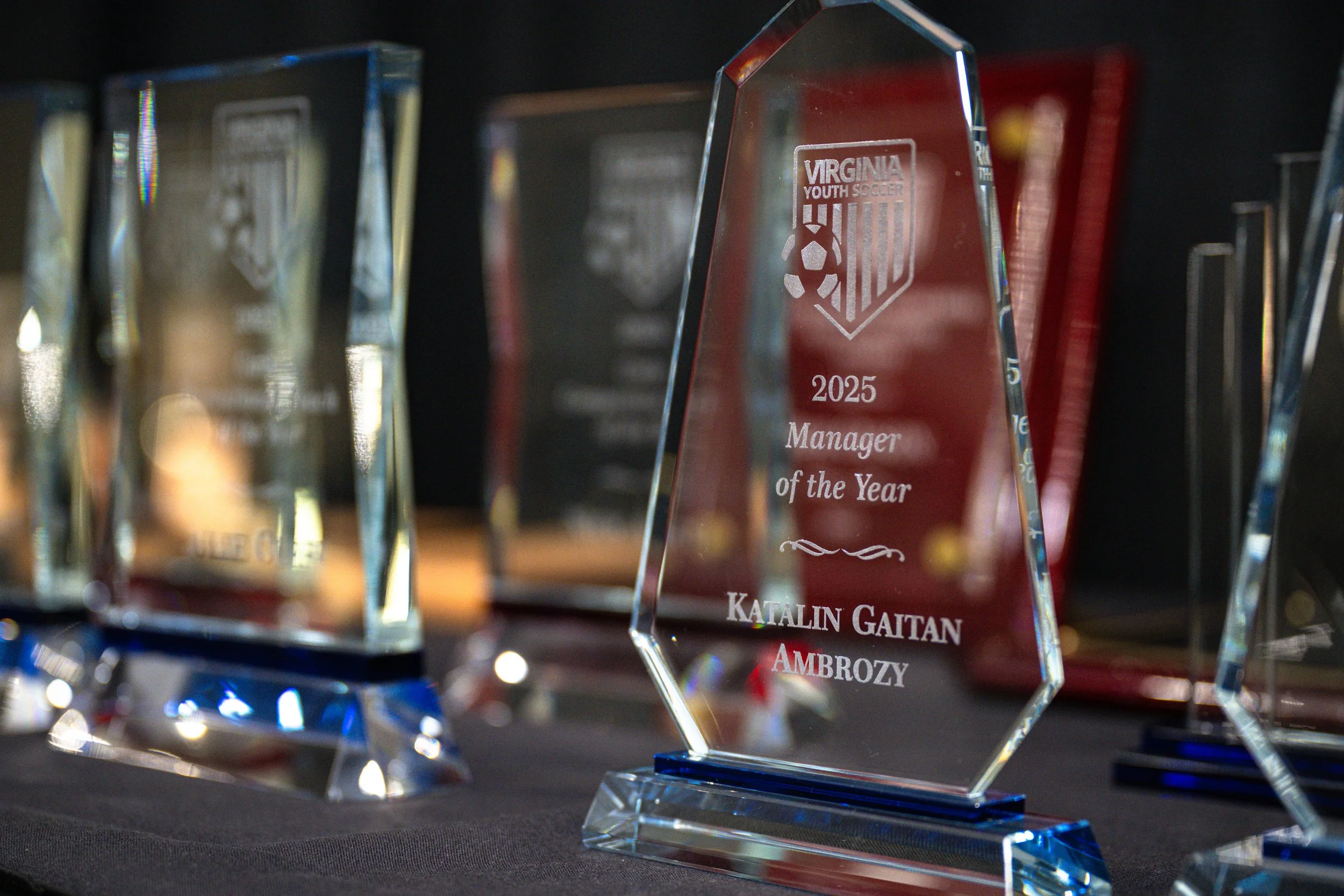 Awards, Banners, and Magazines-010.jpg