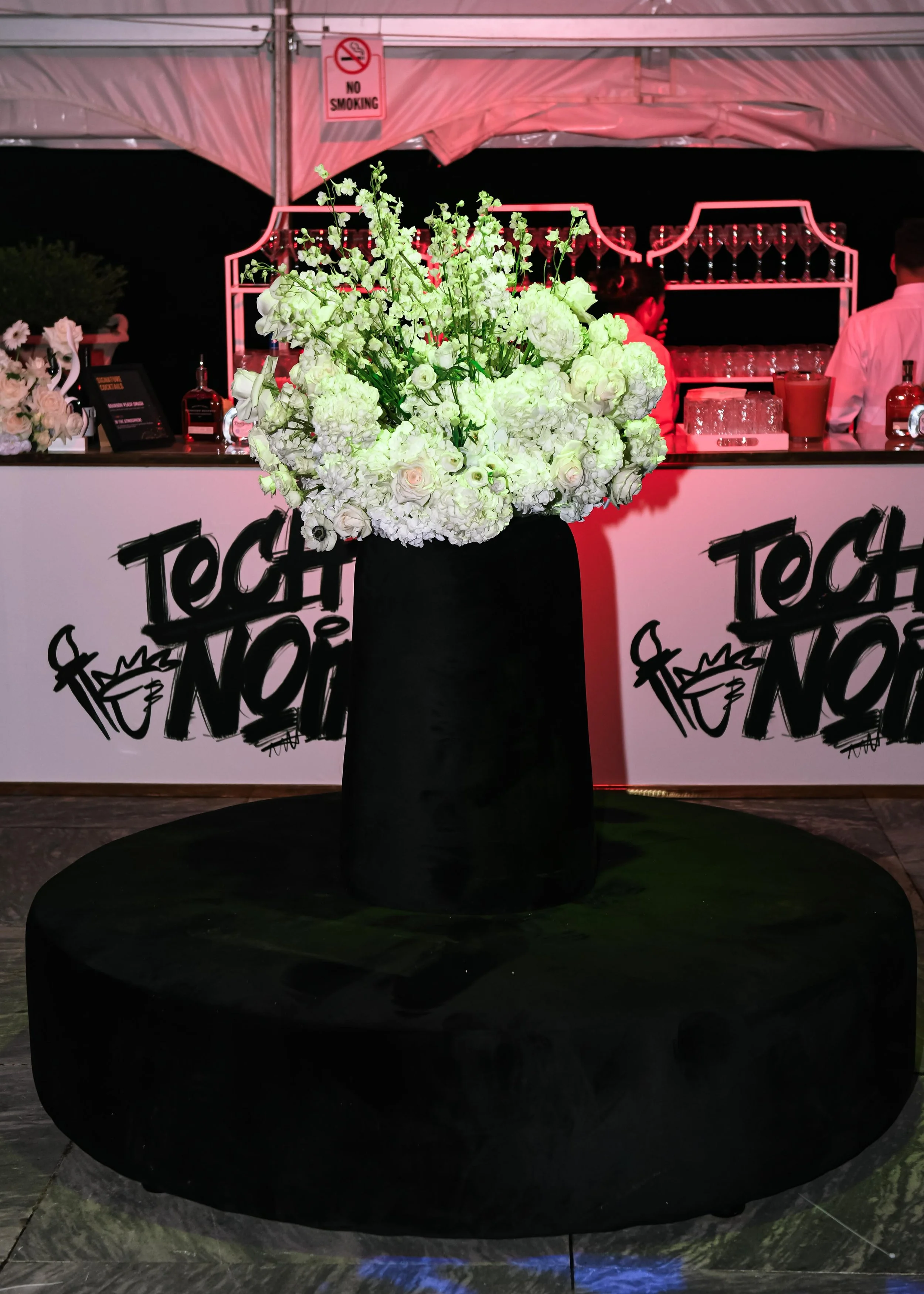 Noir Prism-Sept 14 Dom Photos-CBC French Embassy Mansion Event-5.jpg