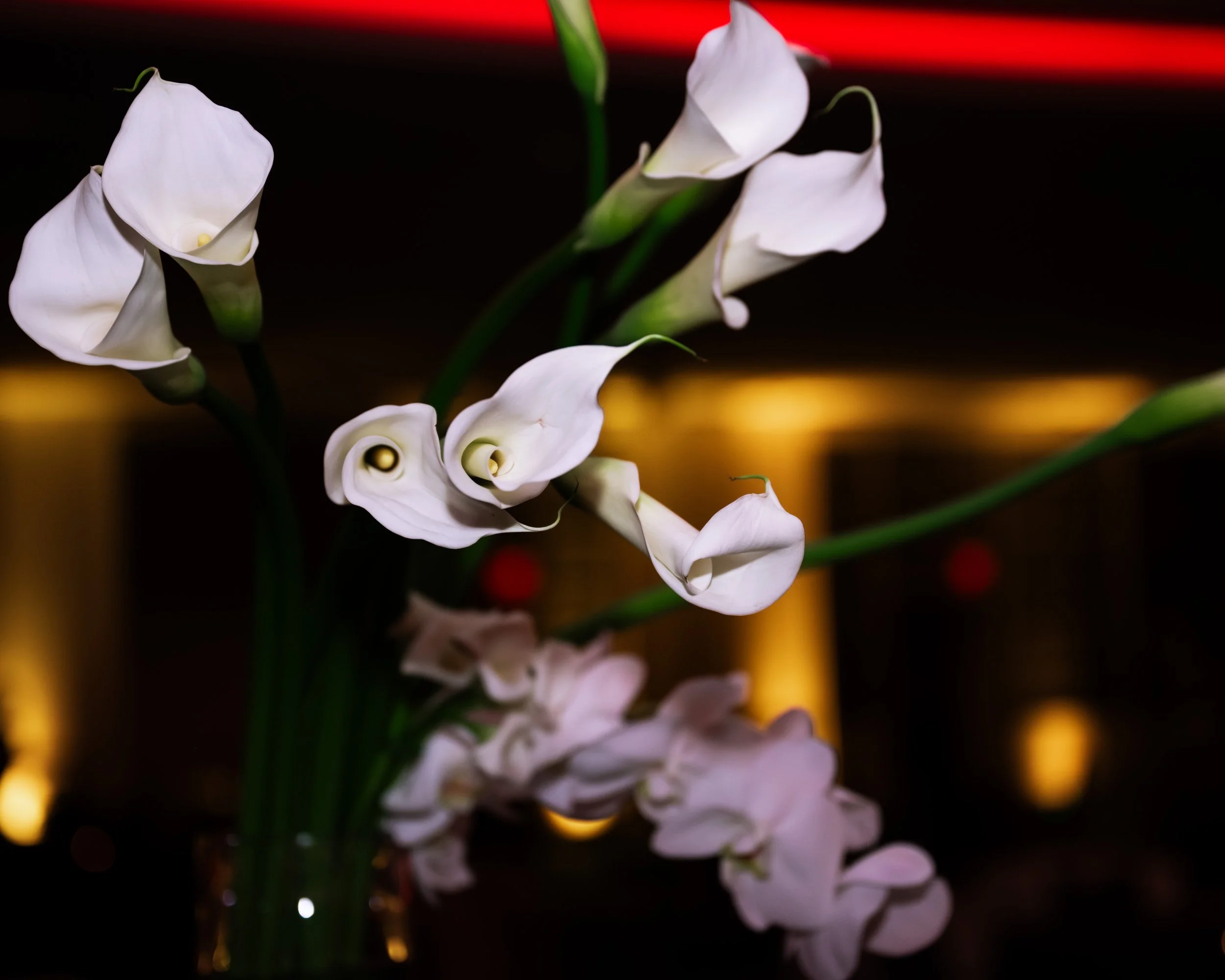 2.13.26 Grand Hyatt 2025 Annual Awards Celebration-004.jpg