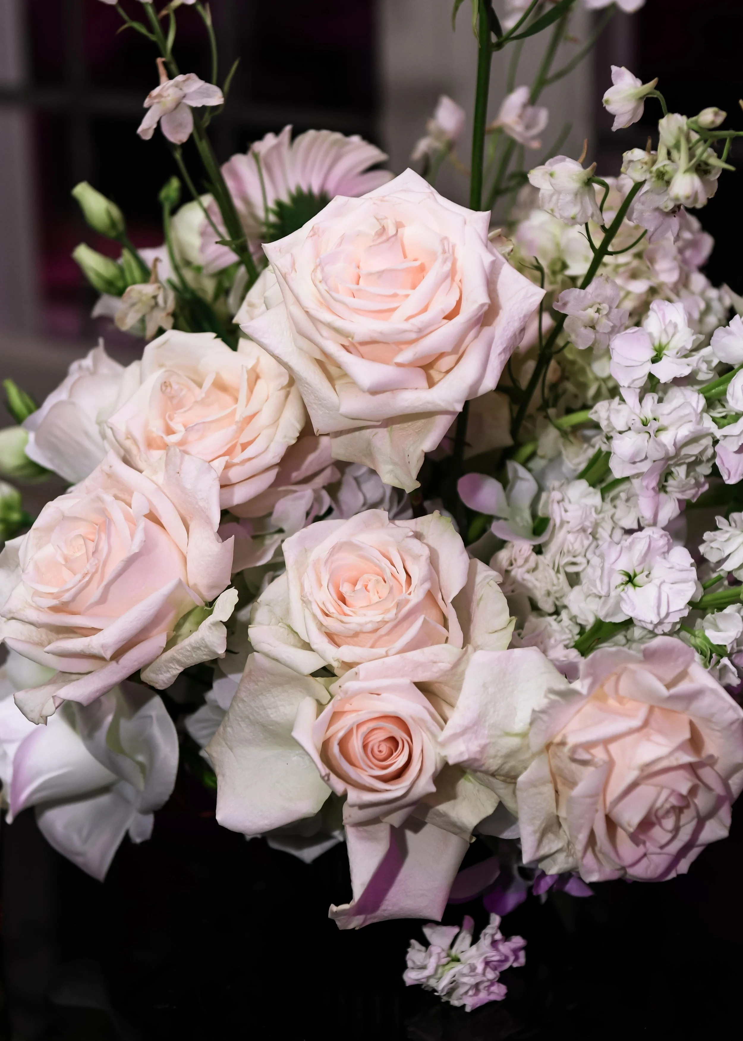 Noir Prism-Sept 14 Dom Photos-CBC French Embassy Mansion Event-2.jpg