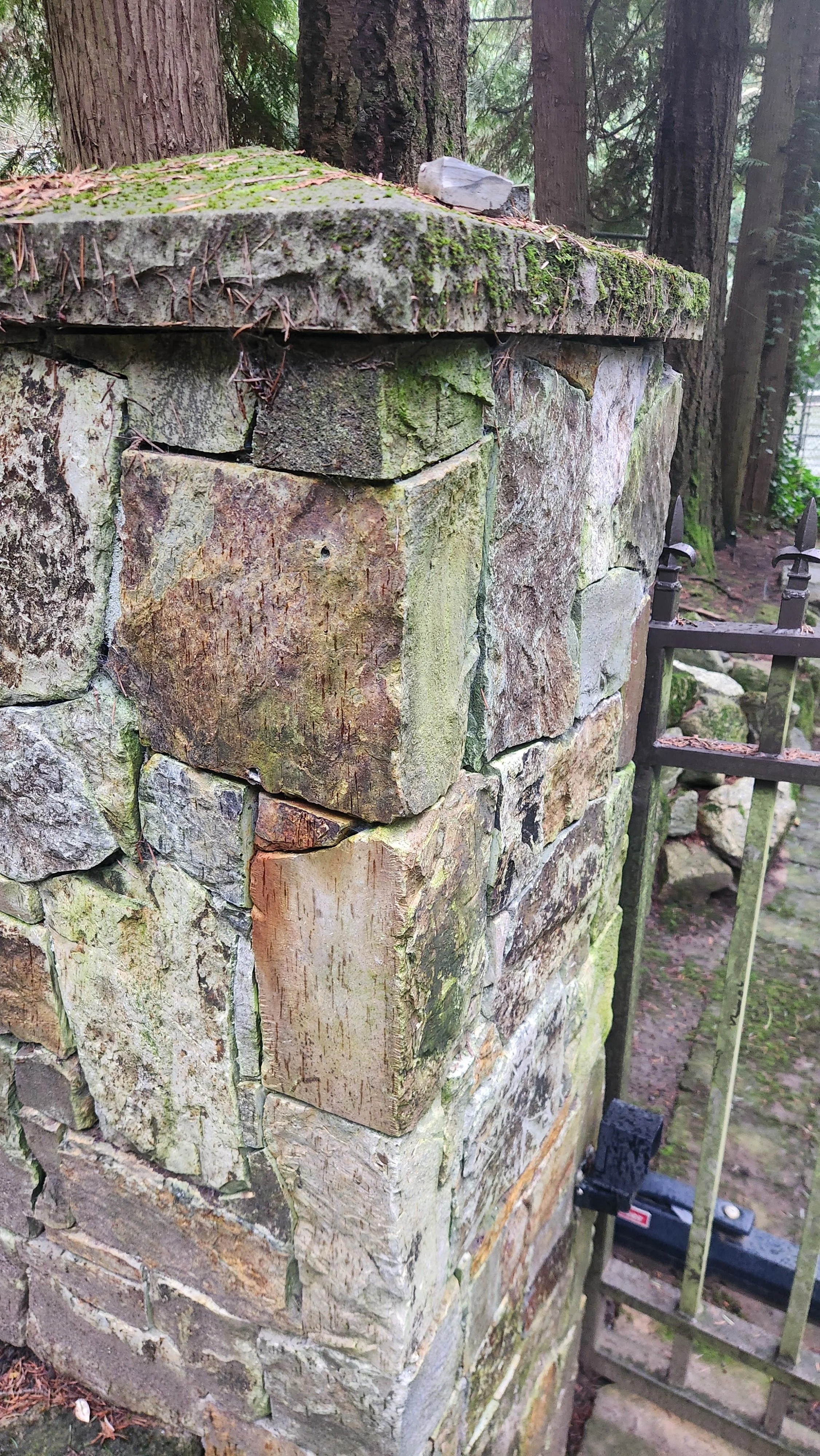 Close-up detail of organic moss and lichen growth on historic stone masonry requiring preservation-grade soft washing in Washington Park.