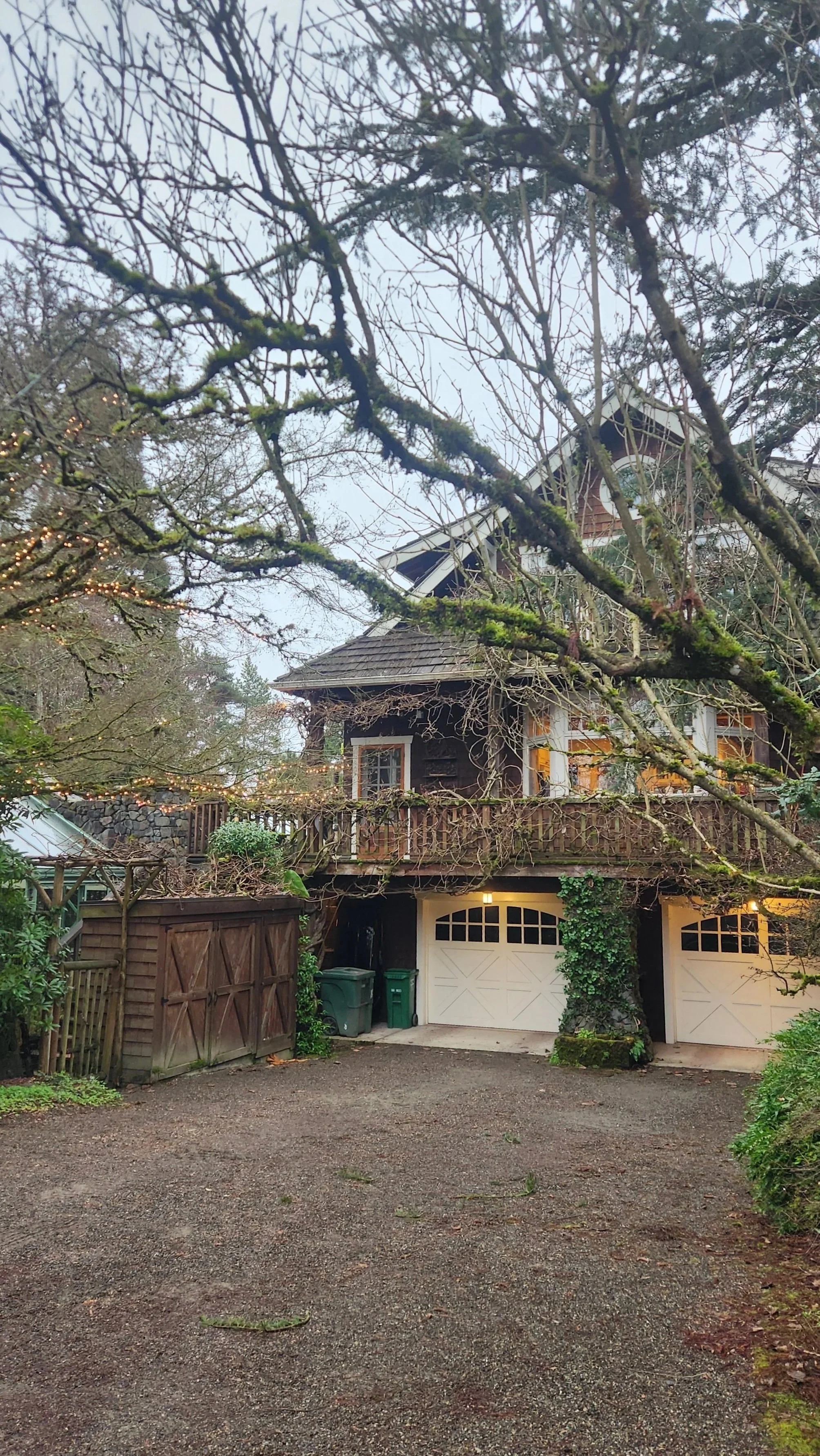 Removal of heavy moss and organic growth from residential siding and garage trim in a wooded Seattle neighborhood.