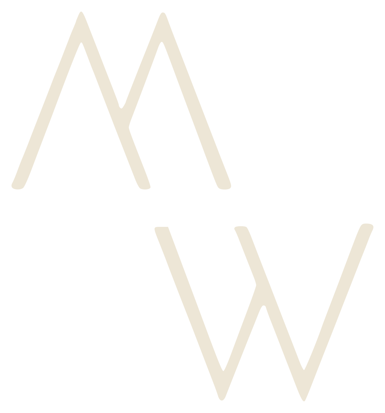 A stylized beige logo with overlapping mountain-like peaks and a zigzag line crossing through the middle.