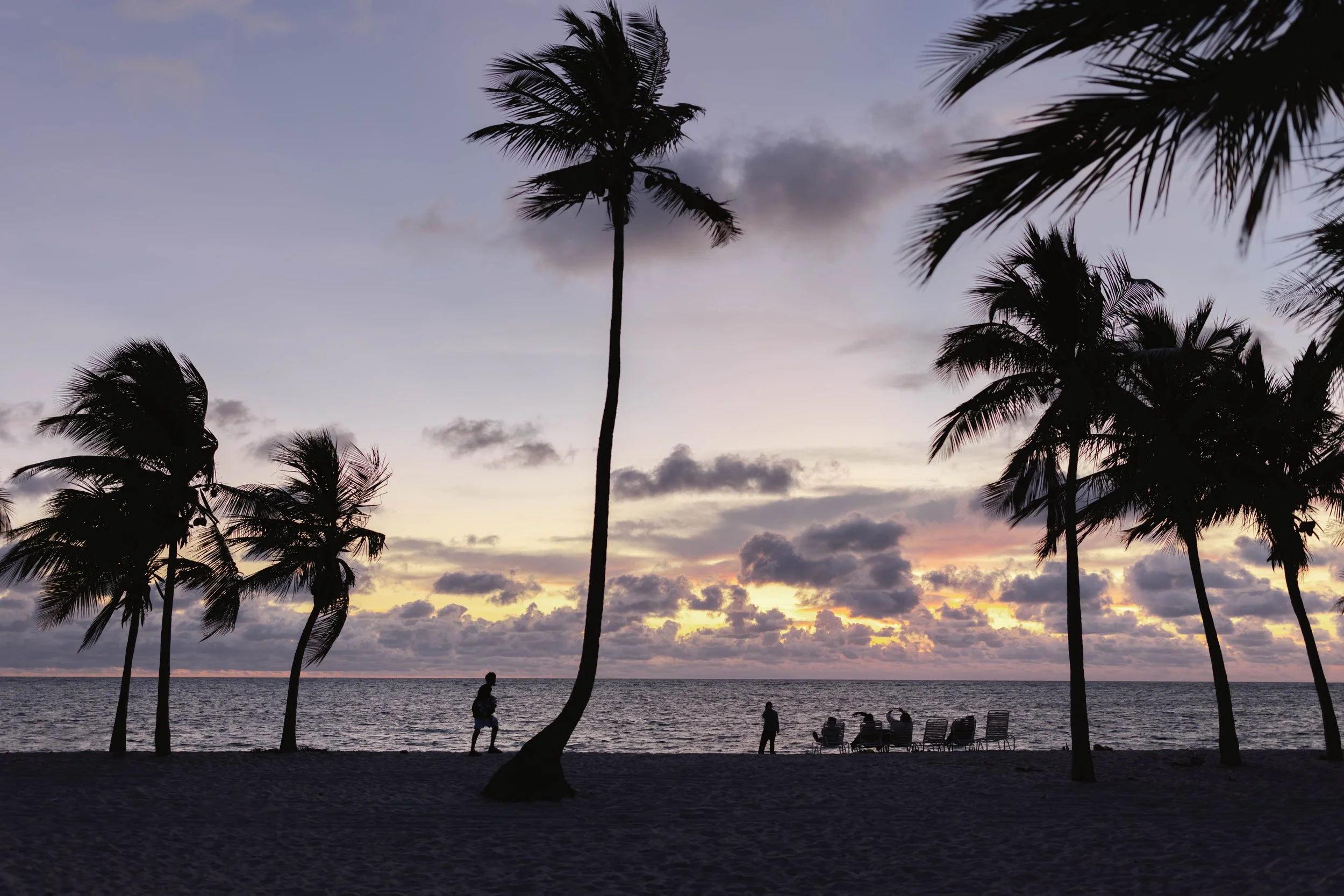 Silhouettes of palm trees and people on a beach during sunset with an ocean and cloudy sky in the background.