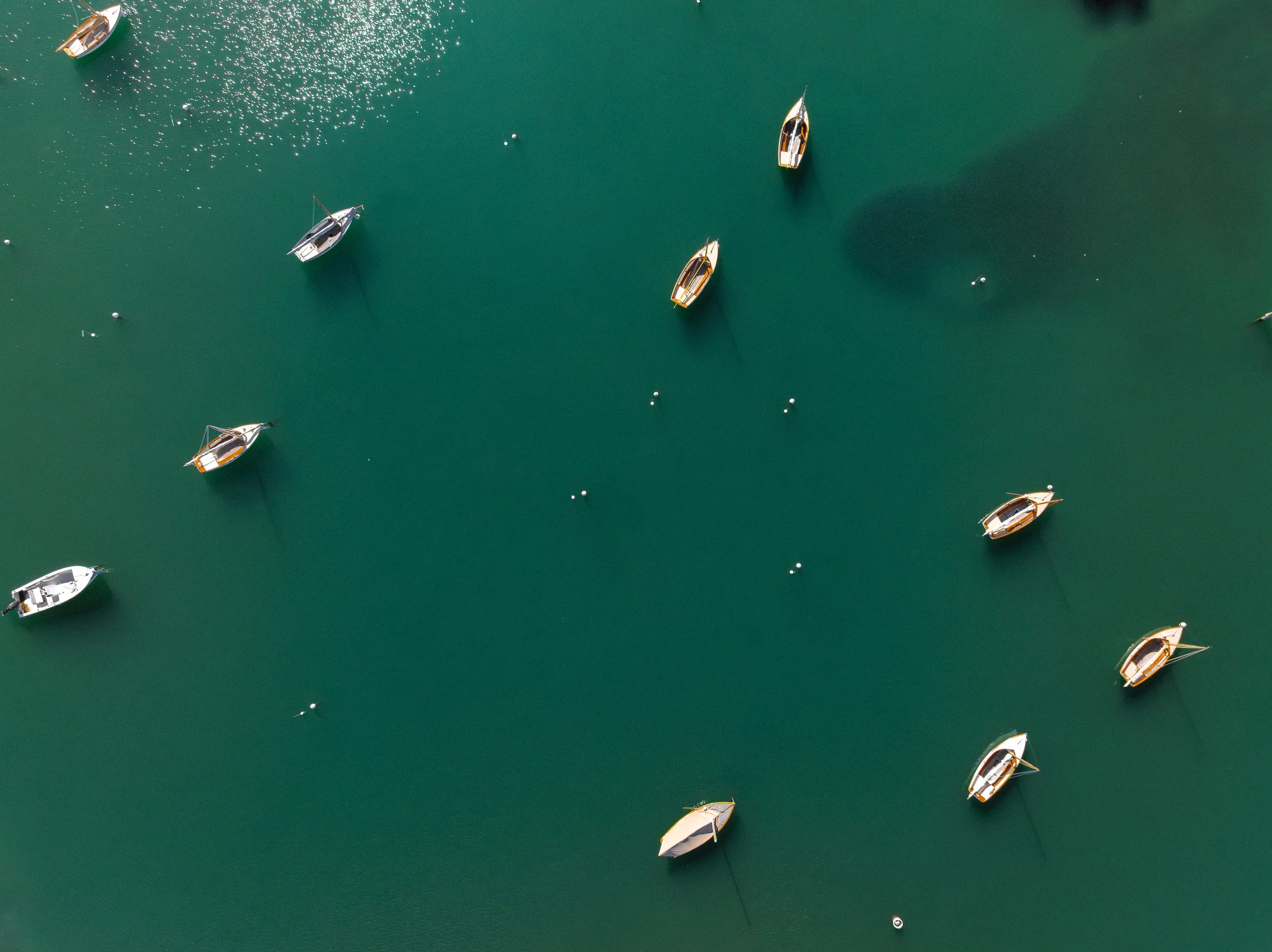 Several sailboats are anchored in calm, green water, viewed from above. The boats are evenly spaced apart, and there are small white buoys scattered around them.