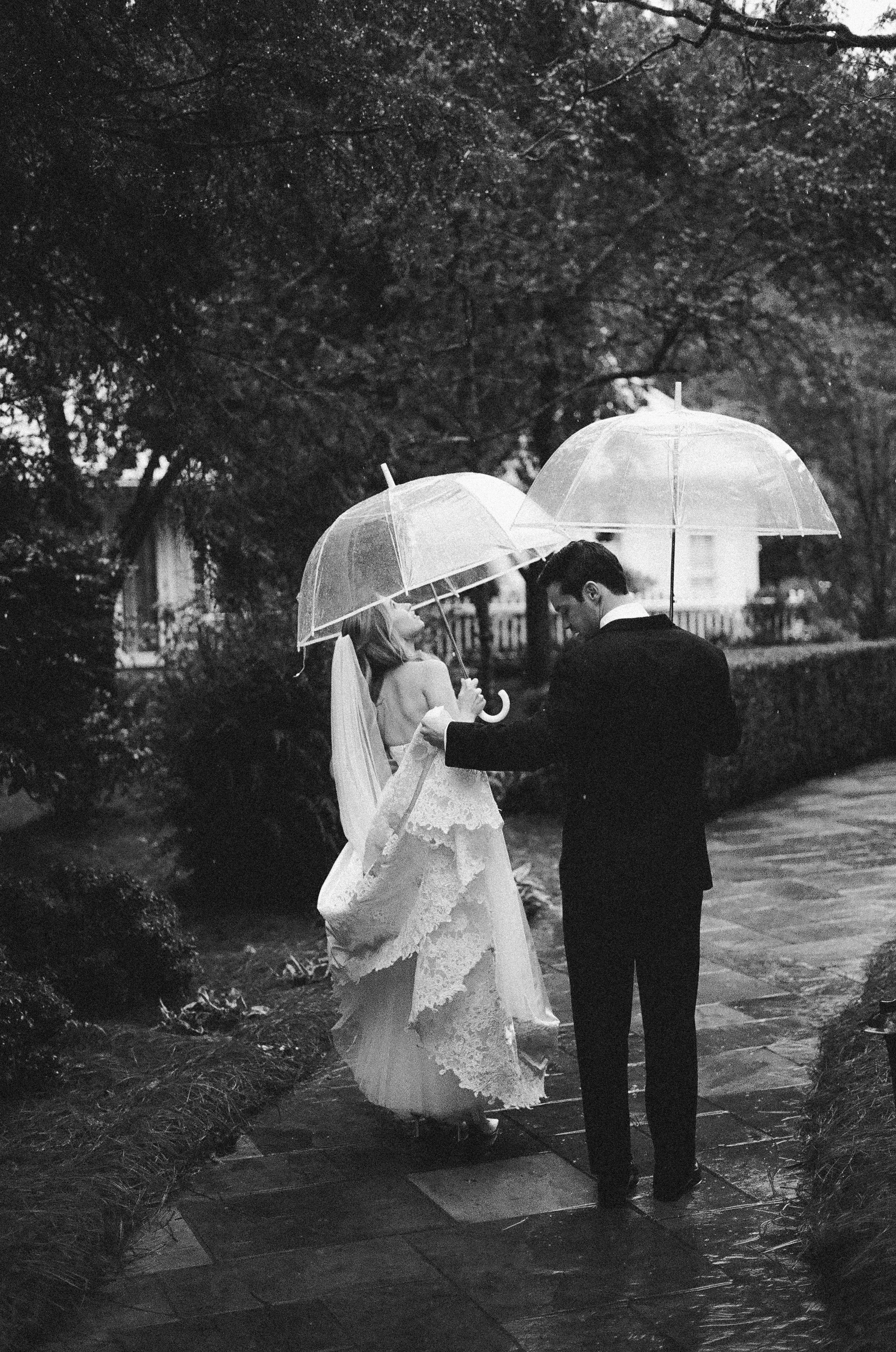 film_lizastewartOEI_2026-12.jpg