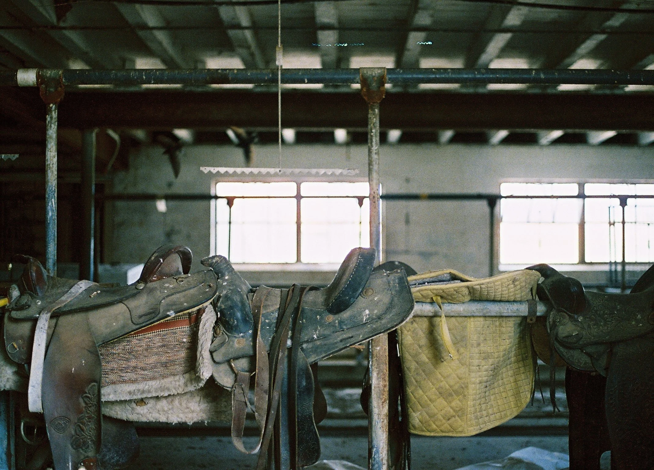 saddles from an old barn we wandered around during our visit to amish country 