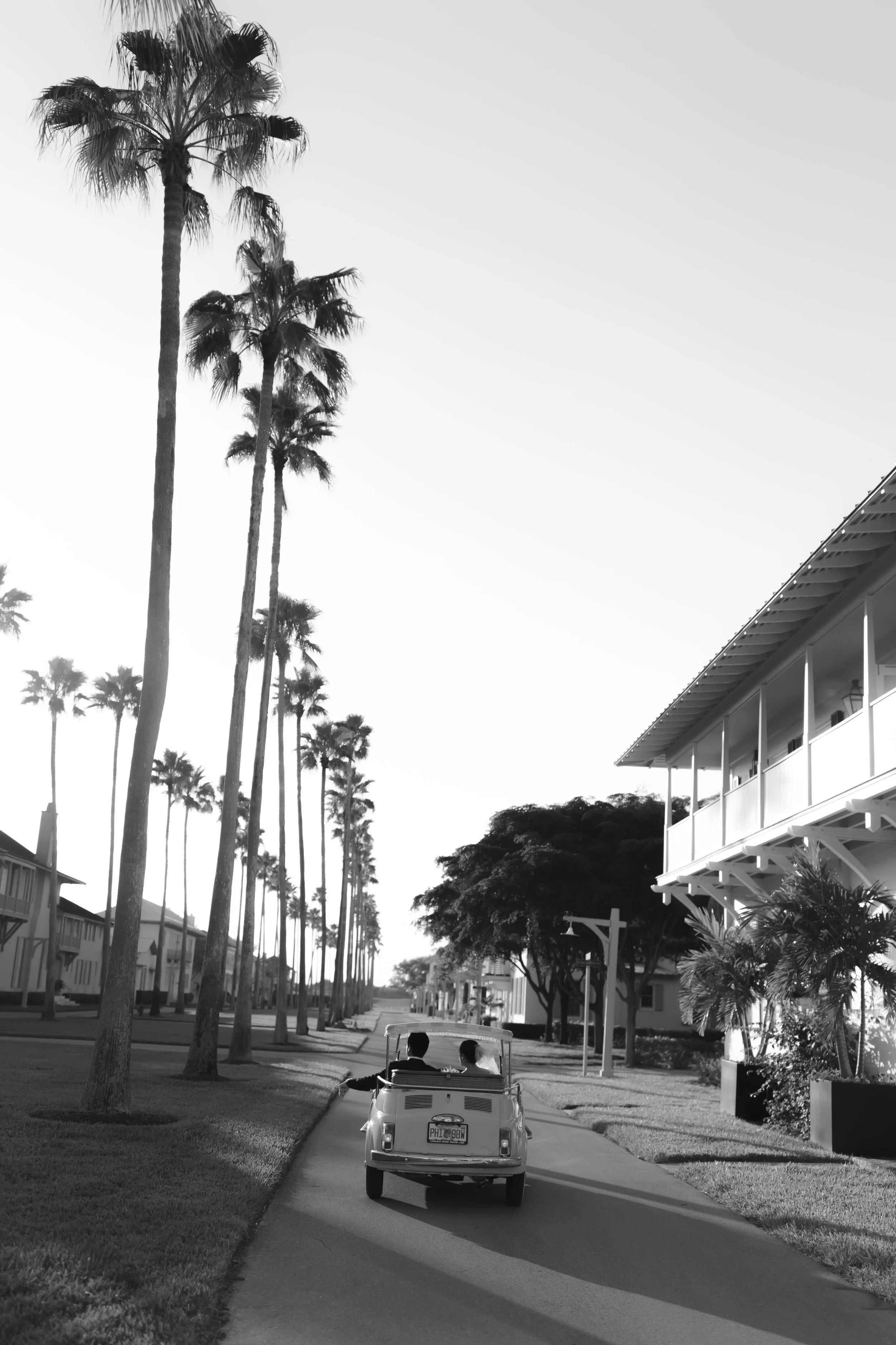 Palm tree lined wedding at Windsor Beach Club in Vero Beach, Florida.
