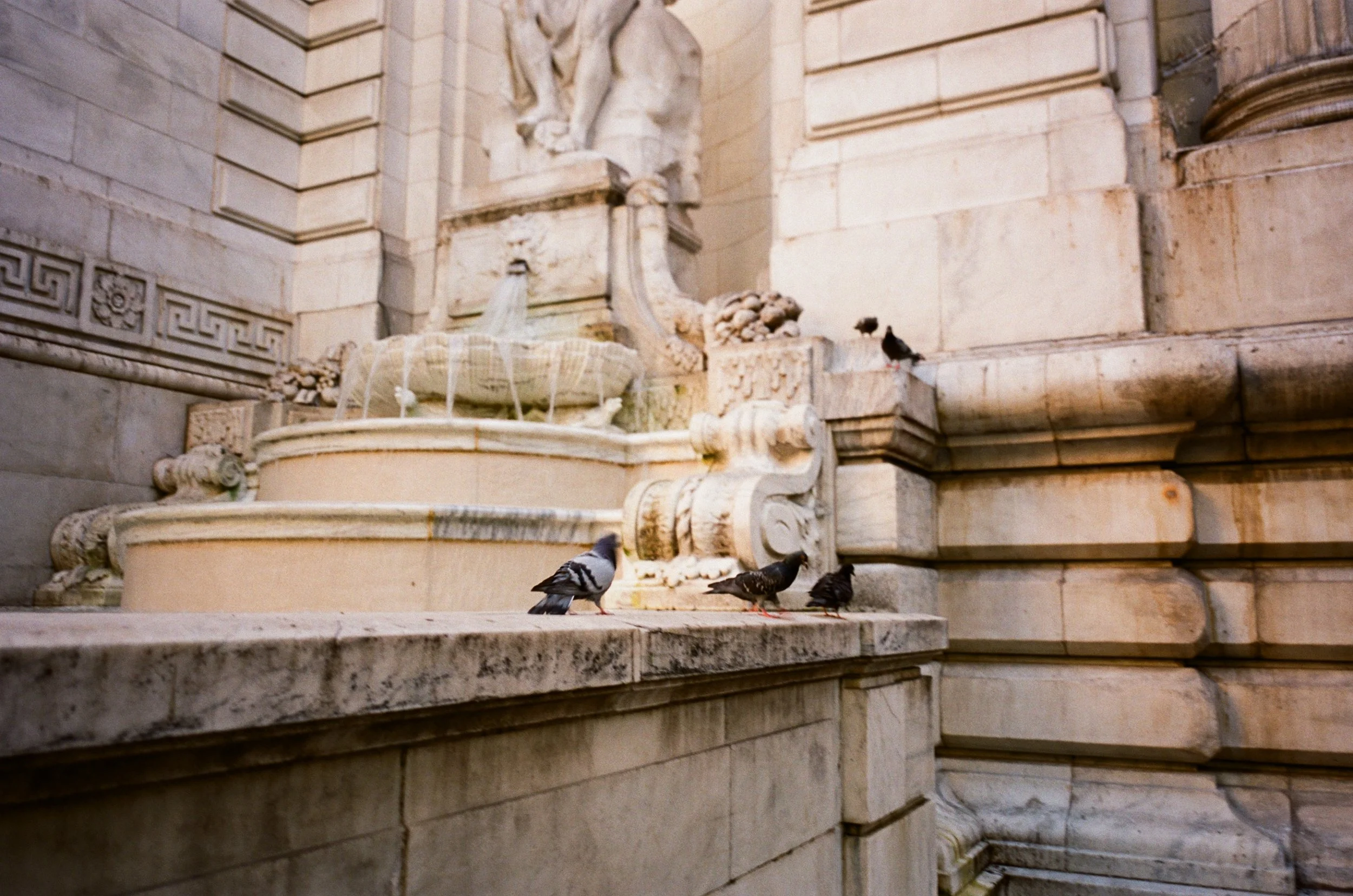 kodak_400_c_41_29058_138646_309146_030529340027.jpg