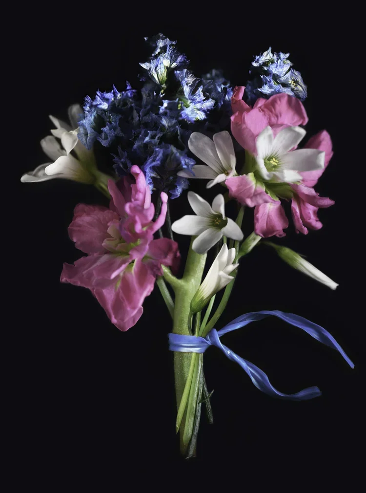 MACROFLOWER (1).webp