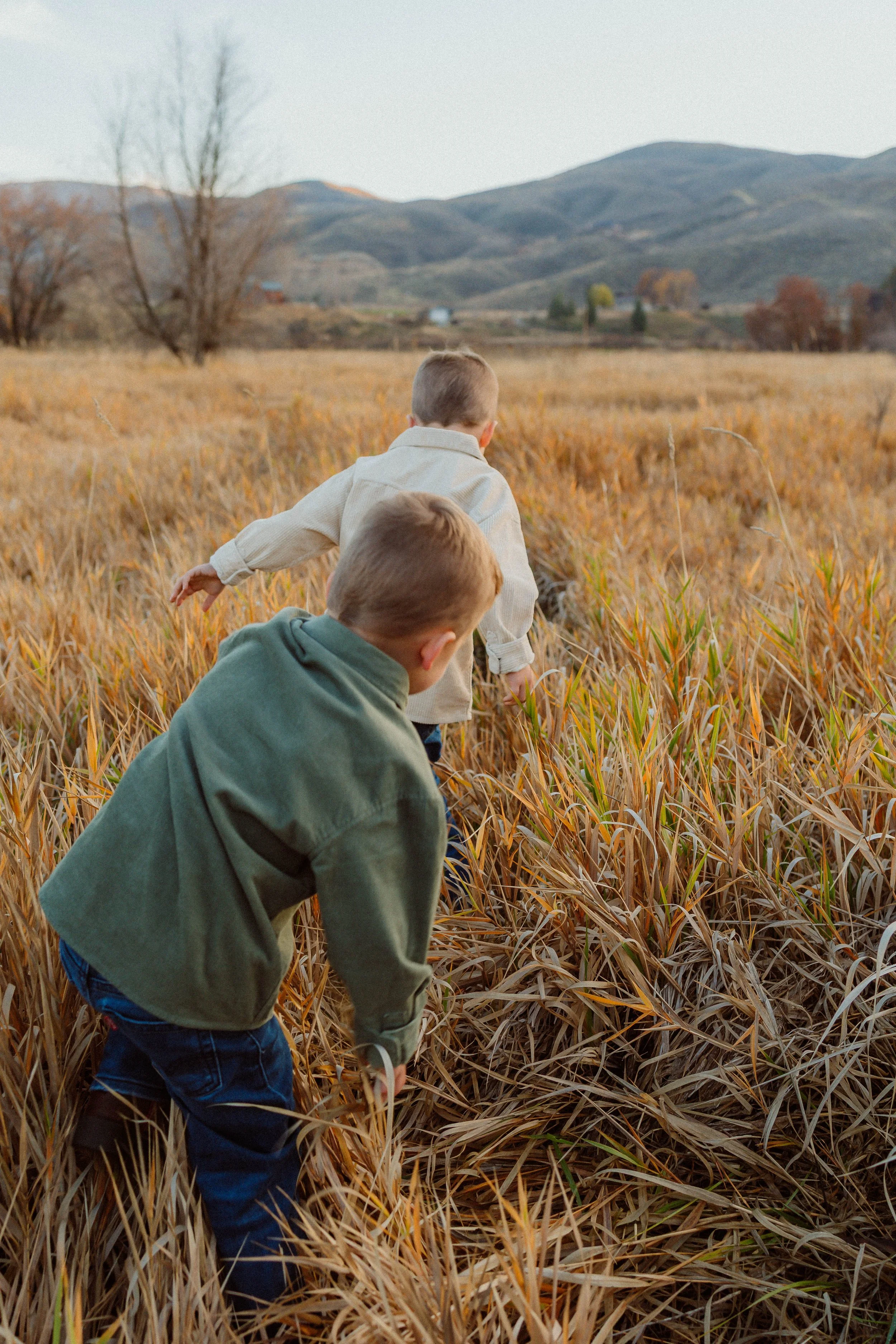 Two young boys exploring a field of tall, golden grass with rolling hills and few trees in the background during autumn.