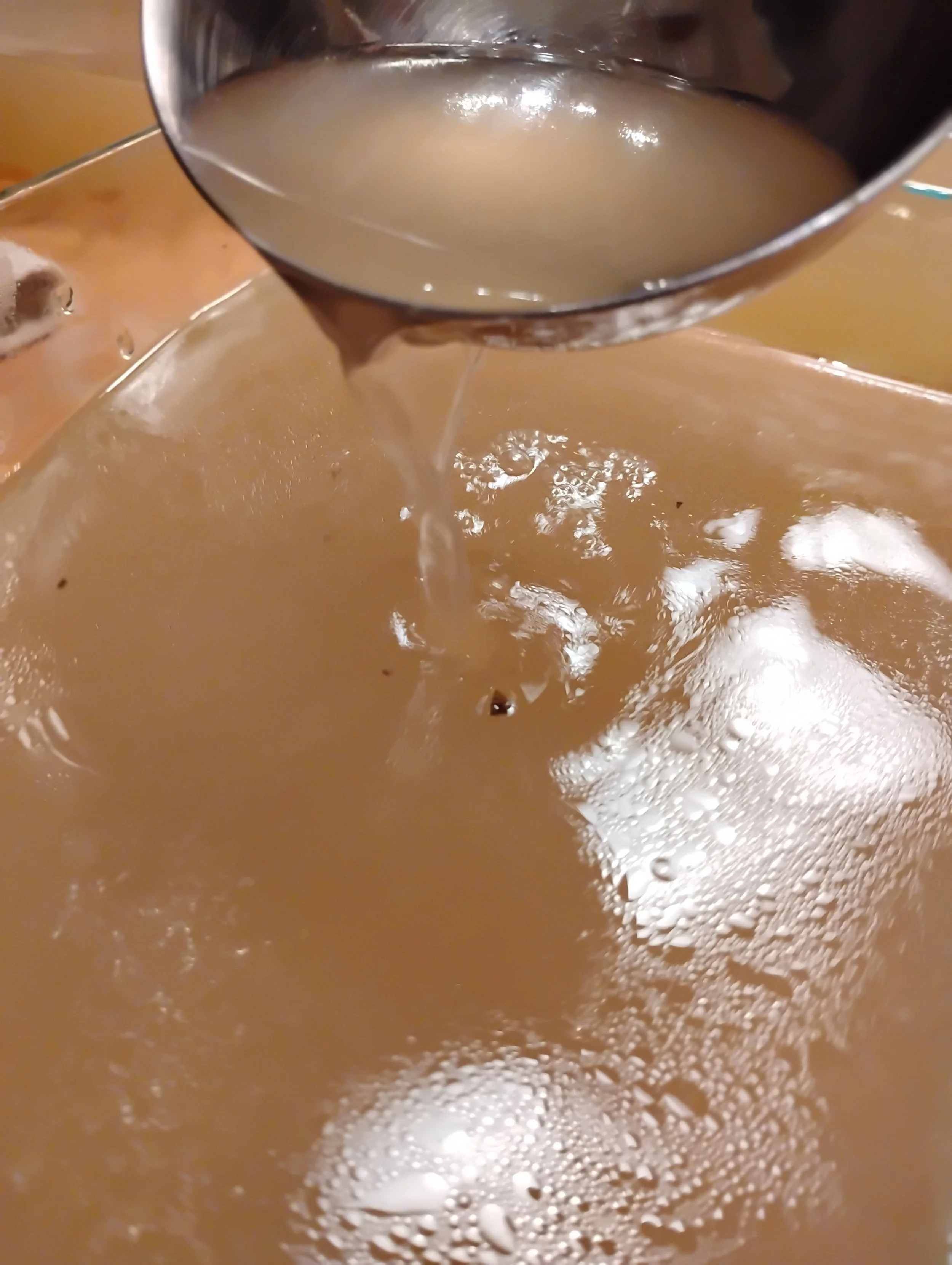 Nutritious Homemade Bone Broth