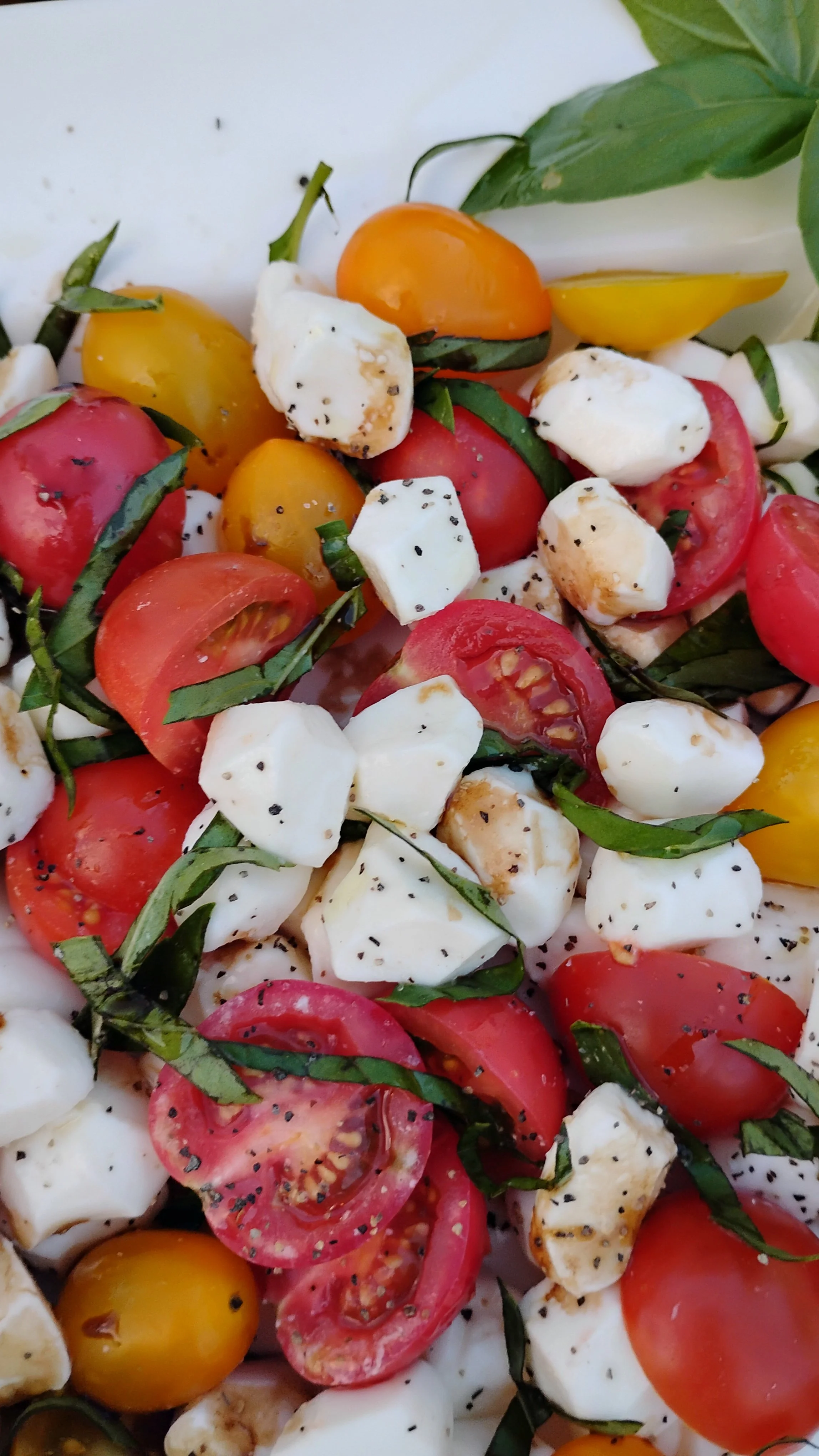 Italian Tomato Basil Mozzarella Salad 