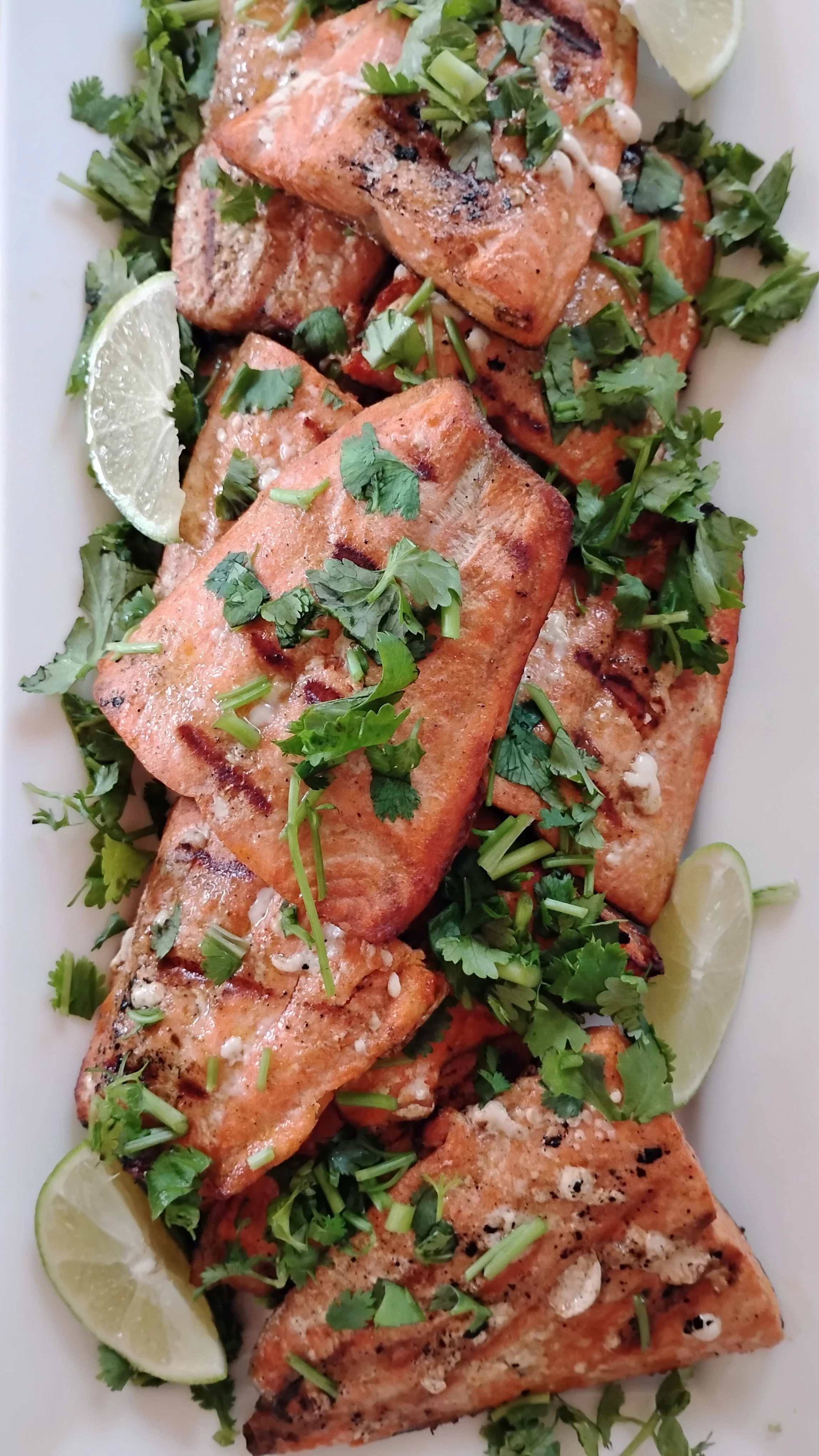 Margarita salmon with cilantro and lime