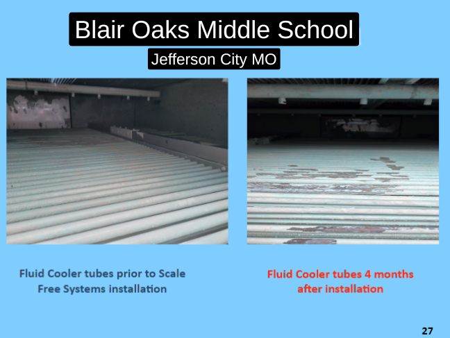 Your paragMole raph text (3).png