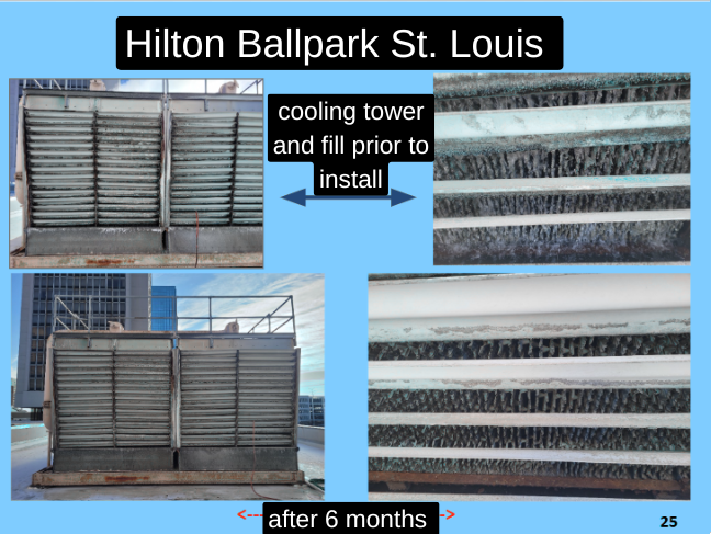 Your paragMole raph text.png