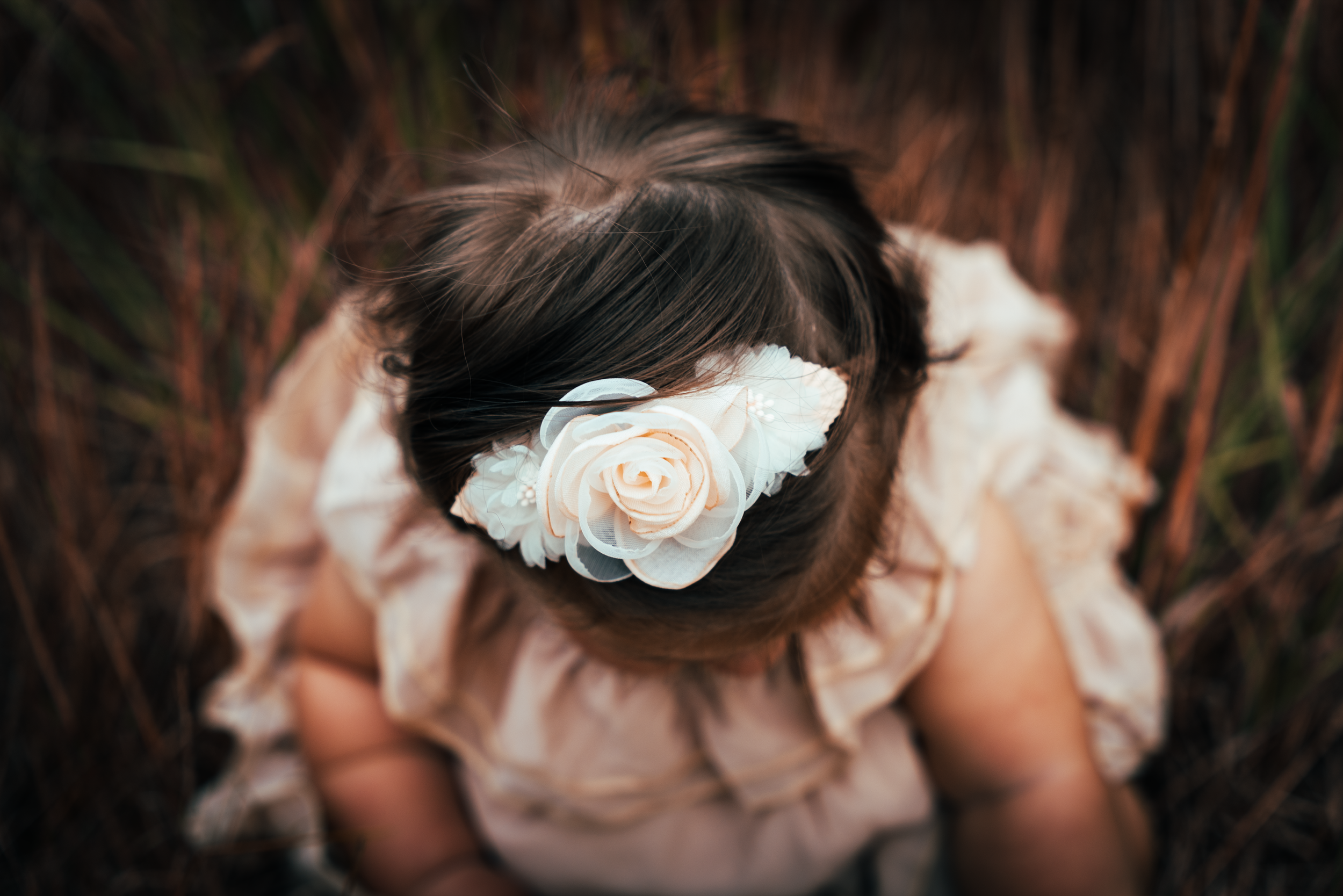 Close-up of a young girl with long brown hair wearing a white dress and a floral headband, sitting among tall grass or reeds in a natural outdoor setting.