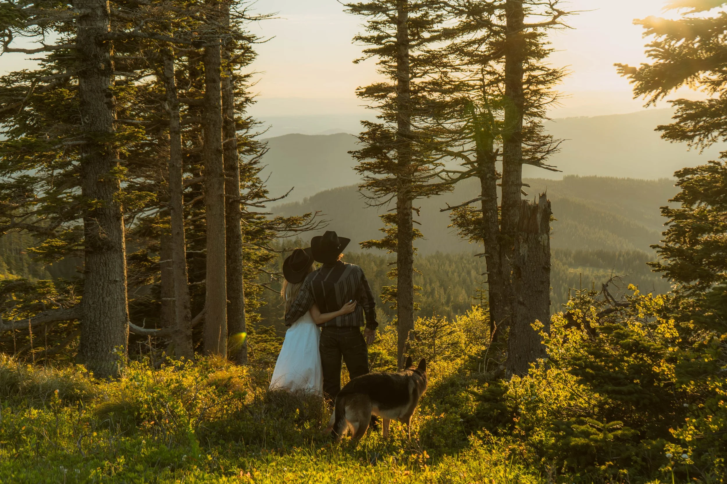 A couple standing in a forested area with tall trees, a scenic mountain view in the background, and the sun setting or rising. The woman is wearing a white dress and the man is dressed in dark clothing. They are holding each other, and a dog is visib