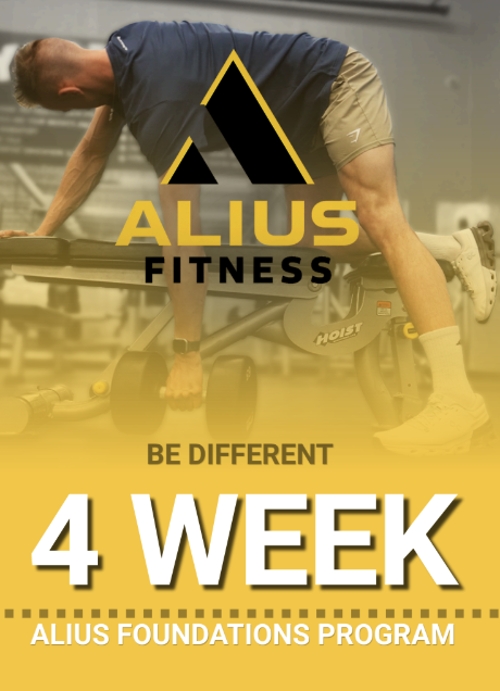 The Alius Foundations Program