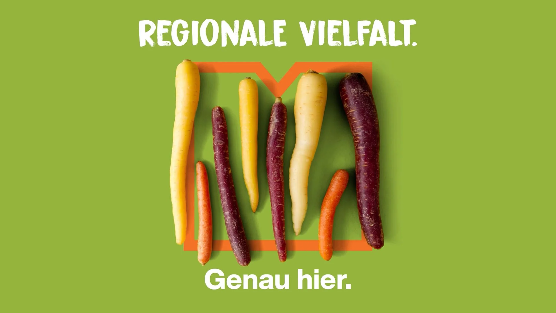 OLIVstudio_Migros_Stages_Still.jpg