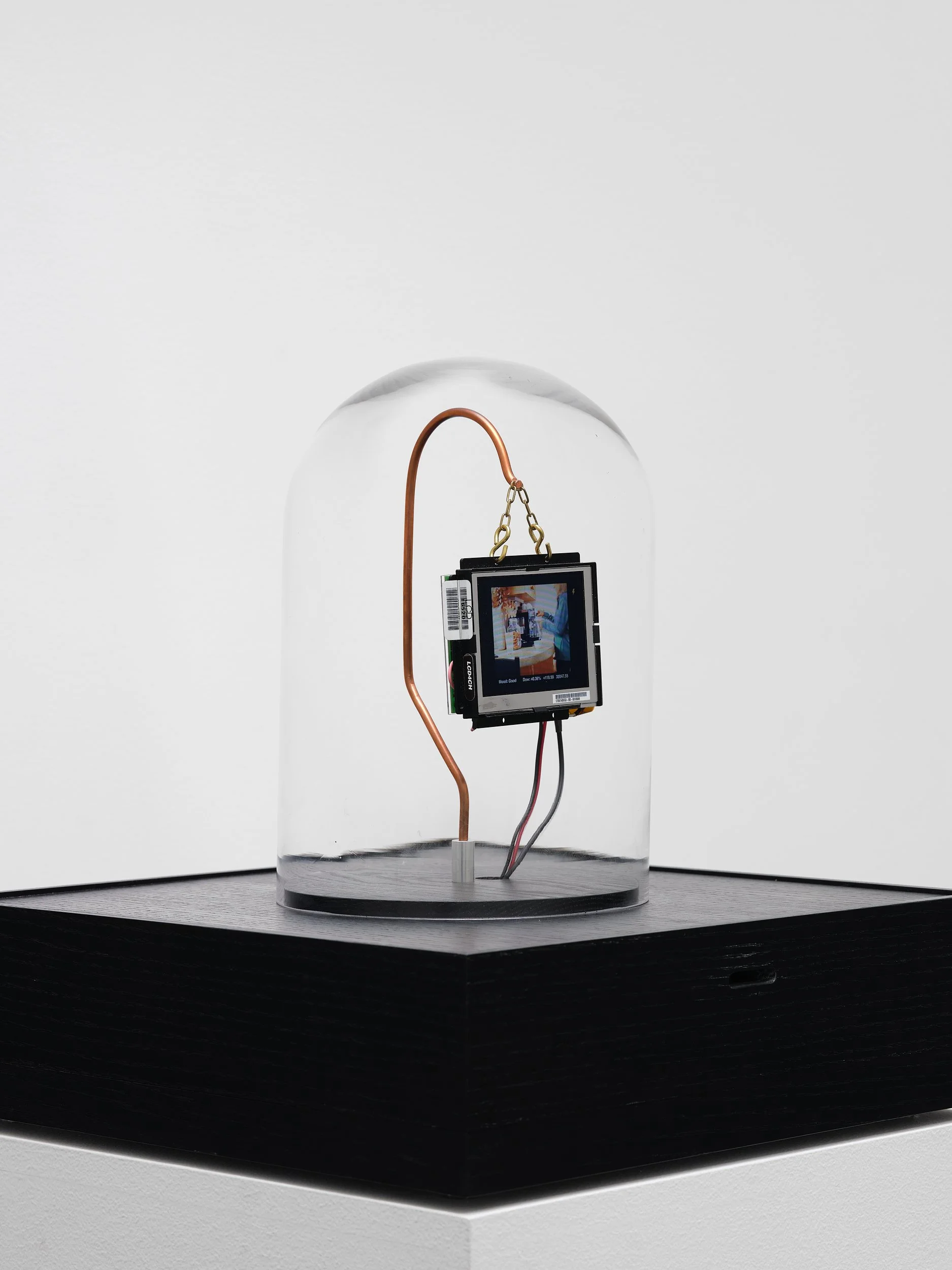 Base for sculpture by Lynn Hershman Leeson