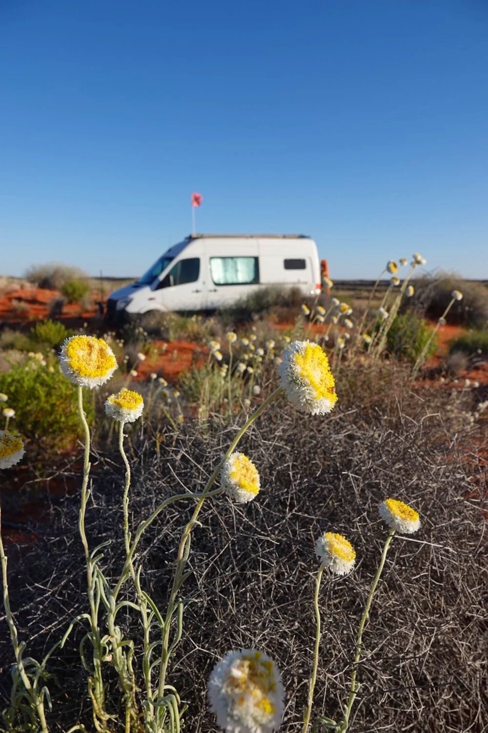 Proposed Tour 1.        Far Western Queensland with an adventure into  the Simpson Desert