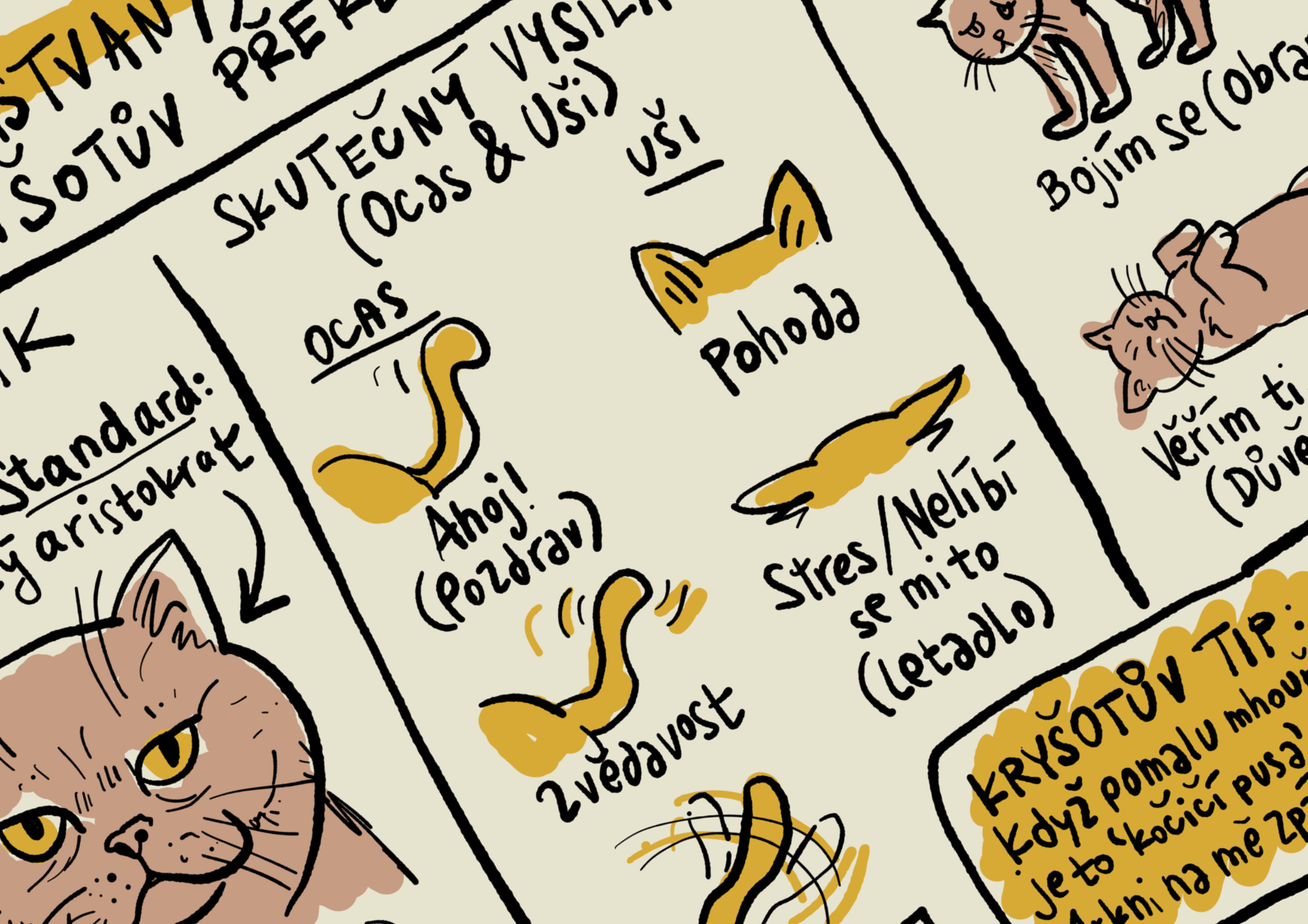 Kryšotí skicák: Řeč těla