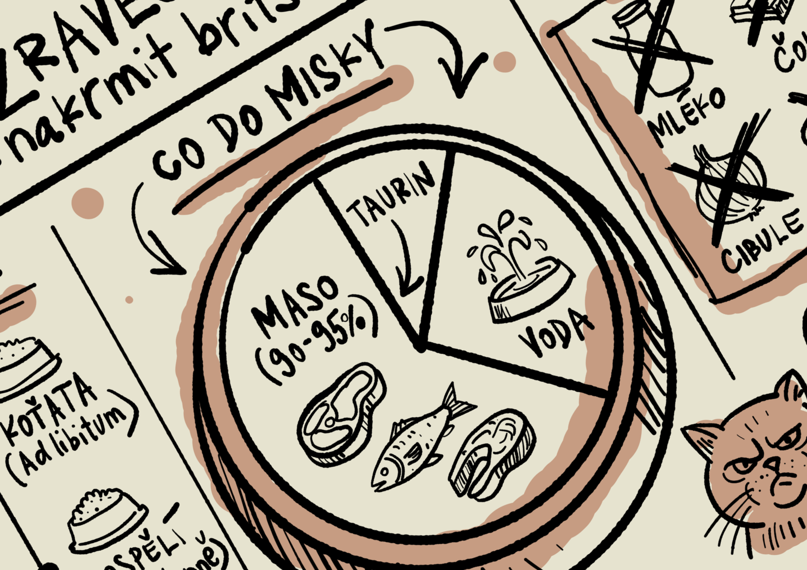 Kryšotí skicák: Co do misky?