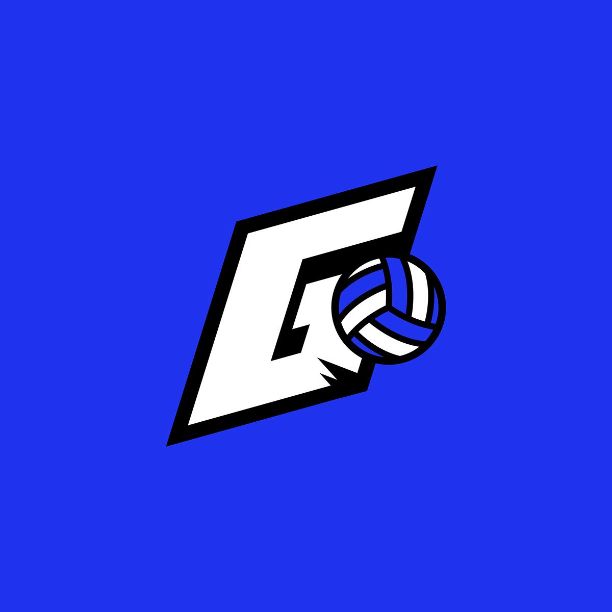 Logo with a white letter 'F' and a blue and white volleyball on a blue background.