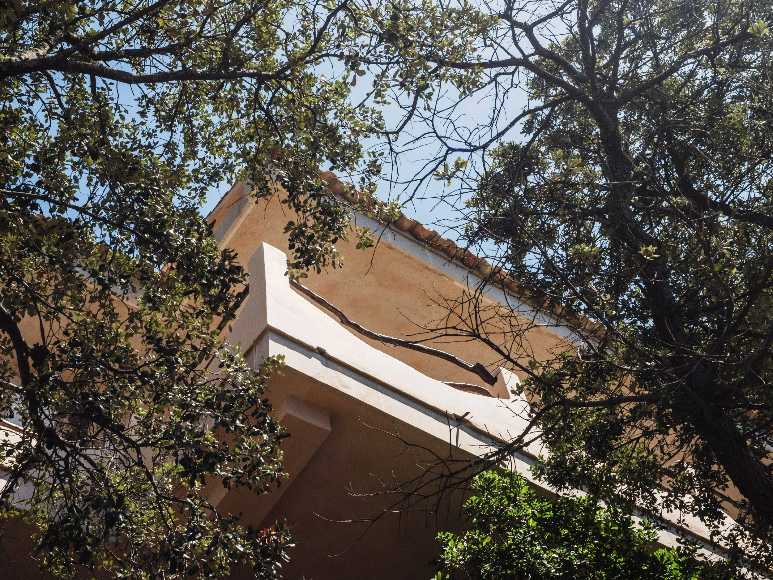 View of tree branches with green leaves and a building roof with brown tiles partially visible underneath.