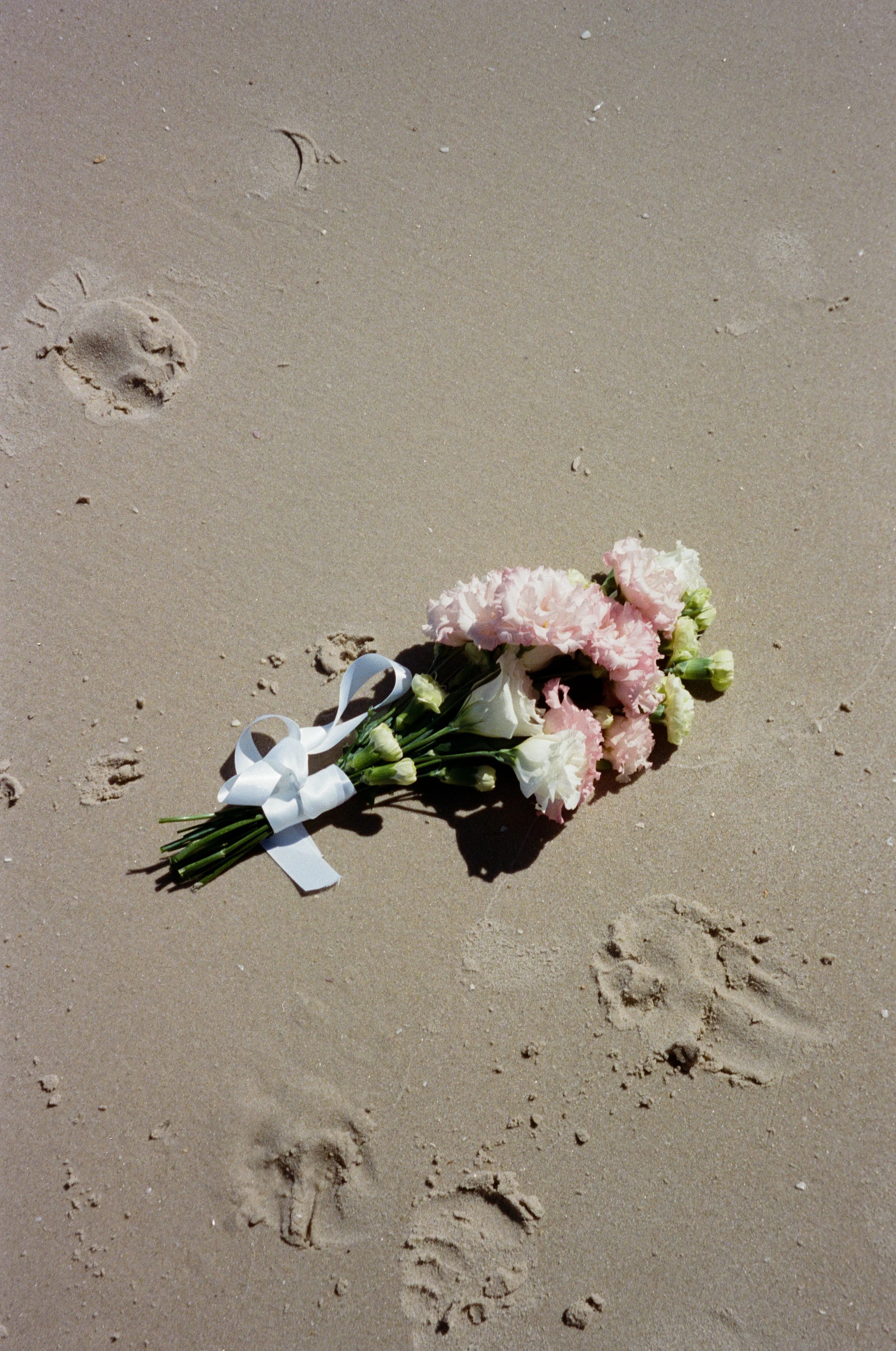 20260304 Joe & Jemima_On Film-000060730024.jpg