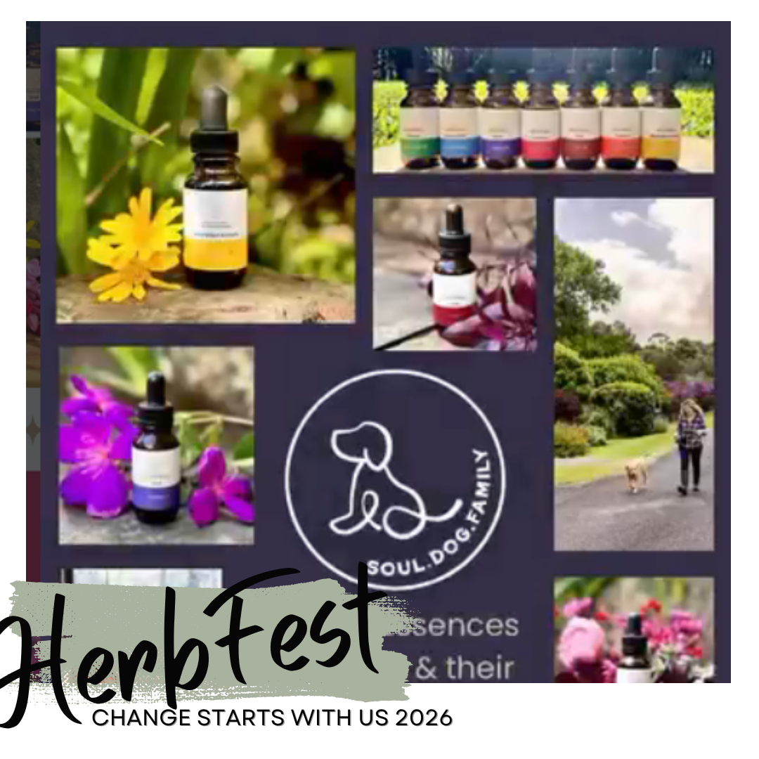 HerbFest Stallholders herabl products and herbal events sunshine coast, australia