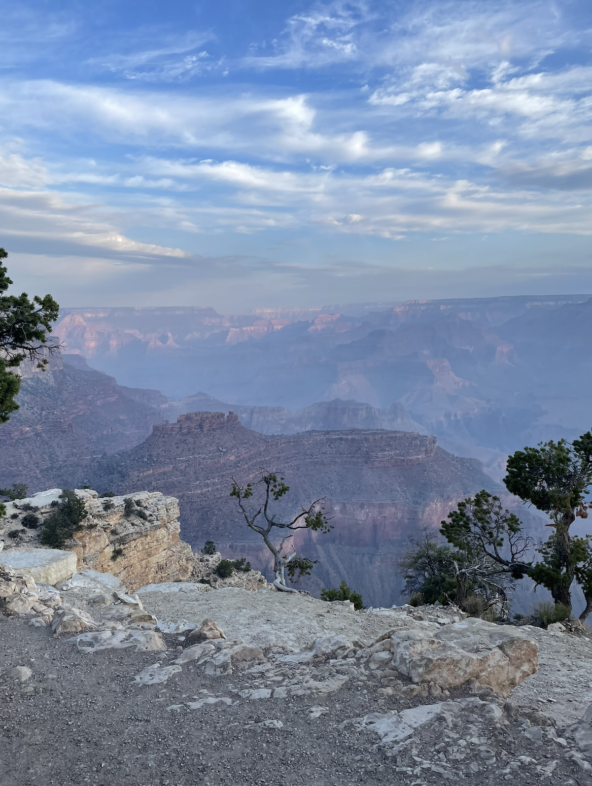 View of the Grand Canyon with layered rock formations and a partly cloudy sky. Some trees and rocky terrain are in the foreground.