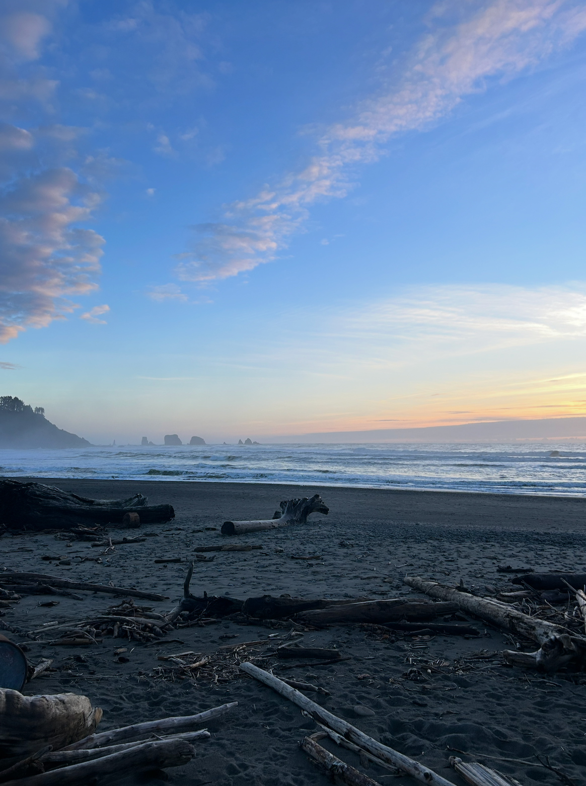 Sunset over a beach with drifted wood and large rocks in the distance, partially cloudy sky, evergreen trees on a hill to the left.