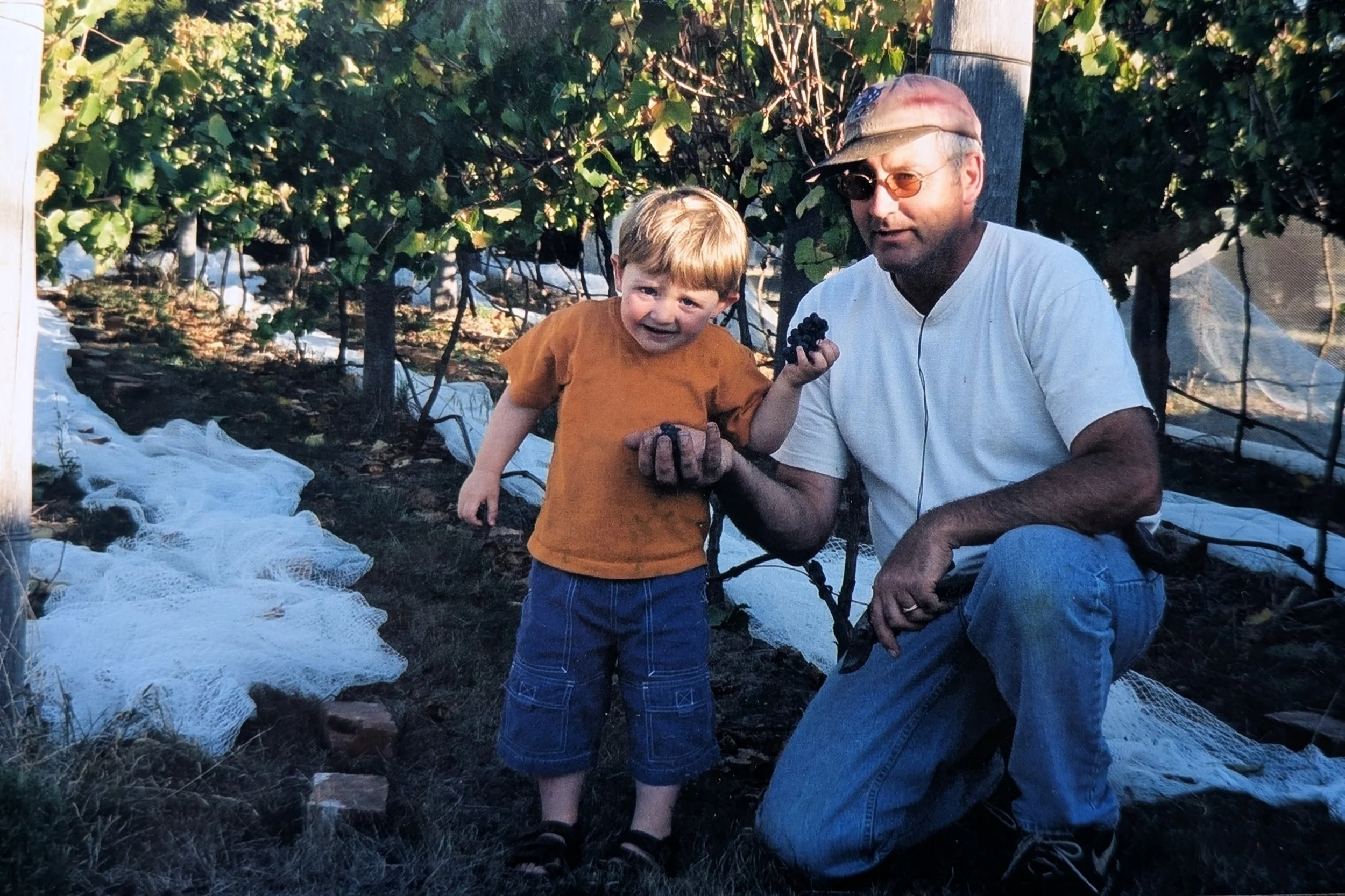 A young boy in an orange shirt and shorts holding grapes, standing next to an older man in a white shirt and sunglasses, kneeling in a vineyard during harvest.