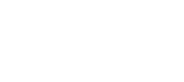 Bear Homes Painting