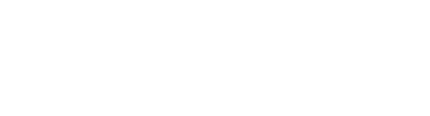 SecurityMindset Consulting