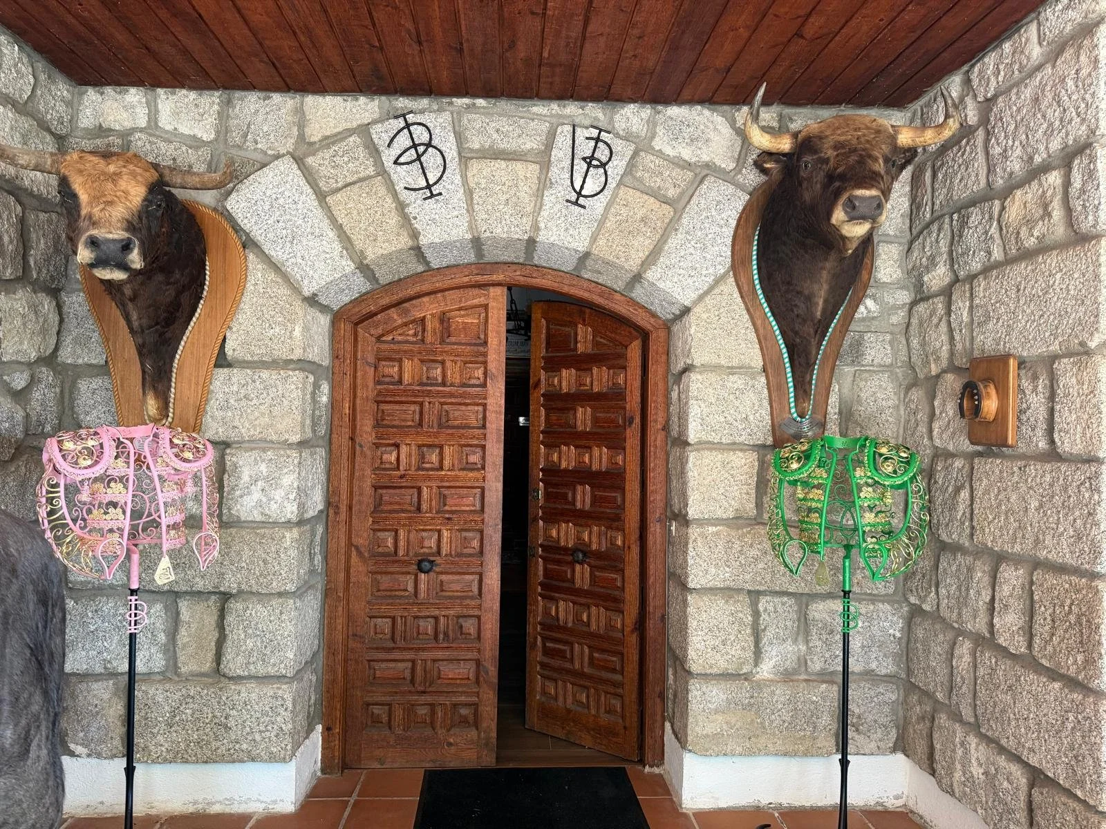 WhatsApp Image 2026-02-12 at 12.29.29.jpeg